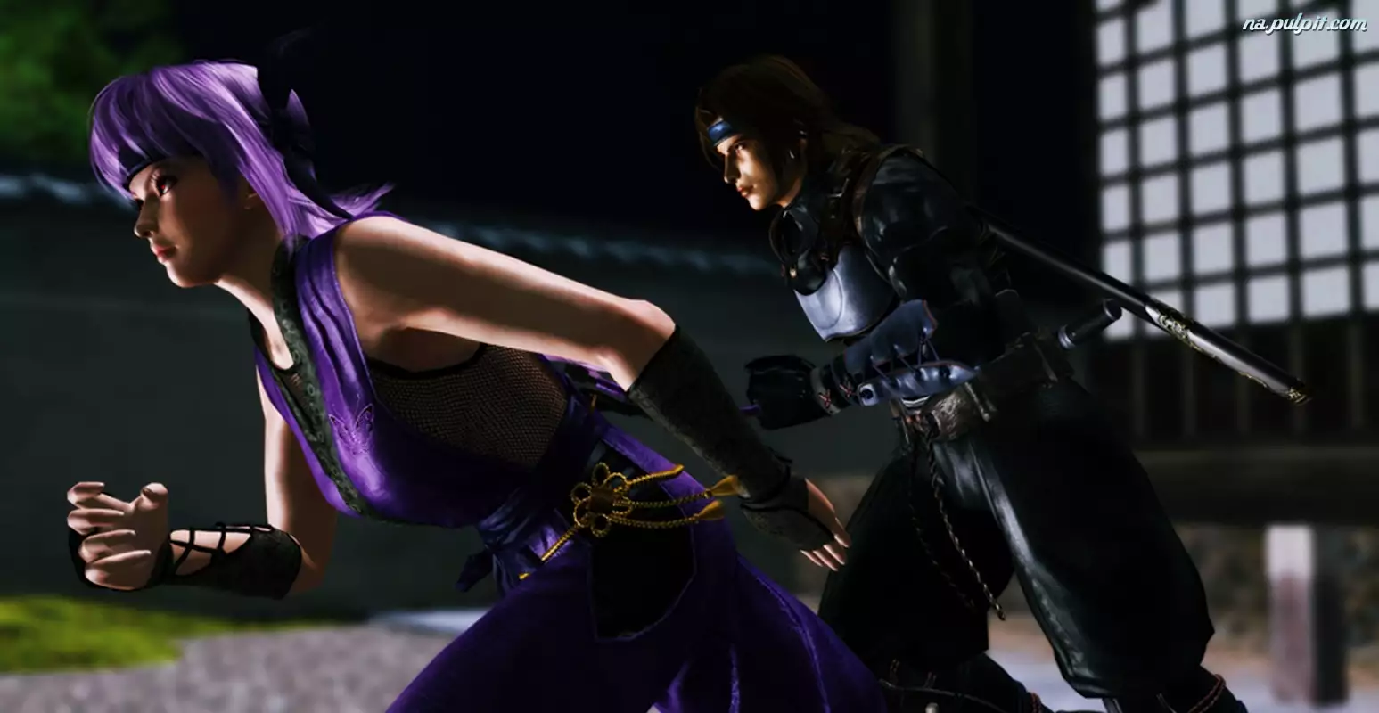 Hayate, Dead Or Alive 5, Ayane