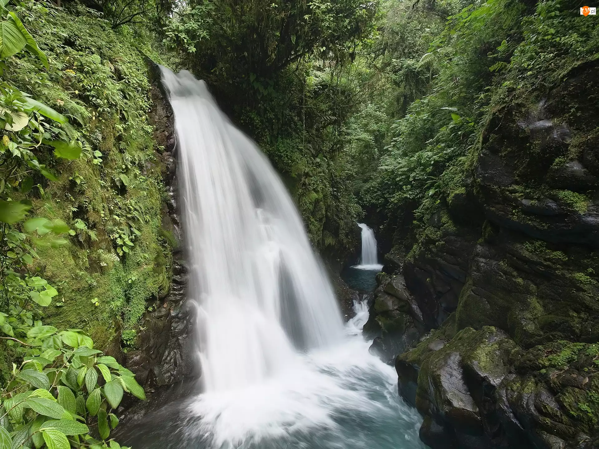 Kostaryka, Wodospad, Skały, Zieleń