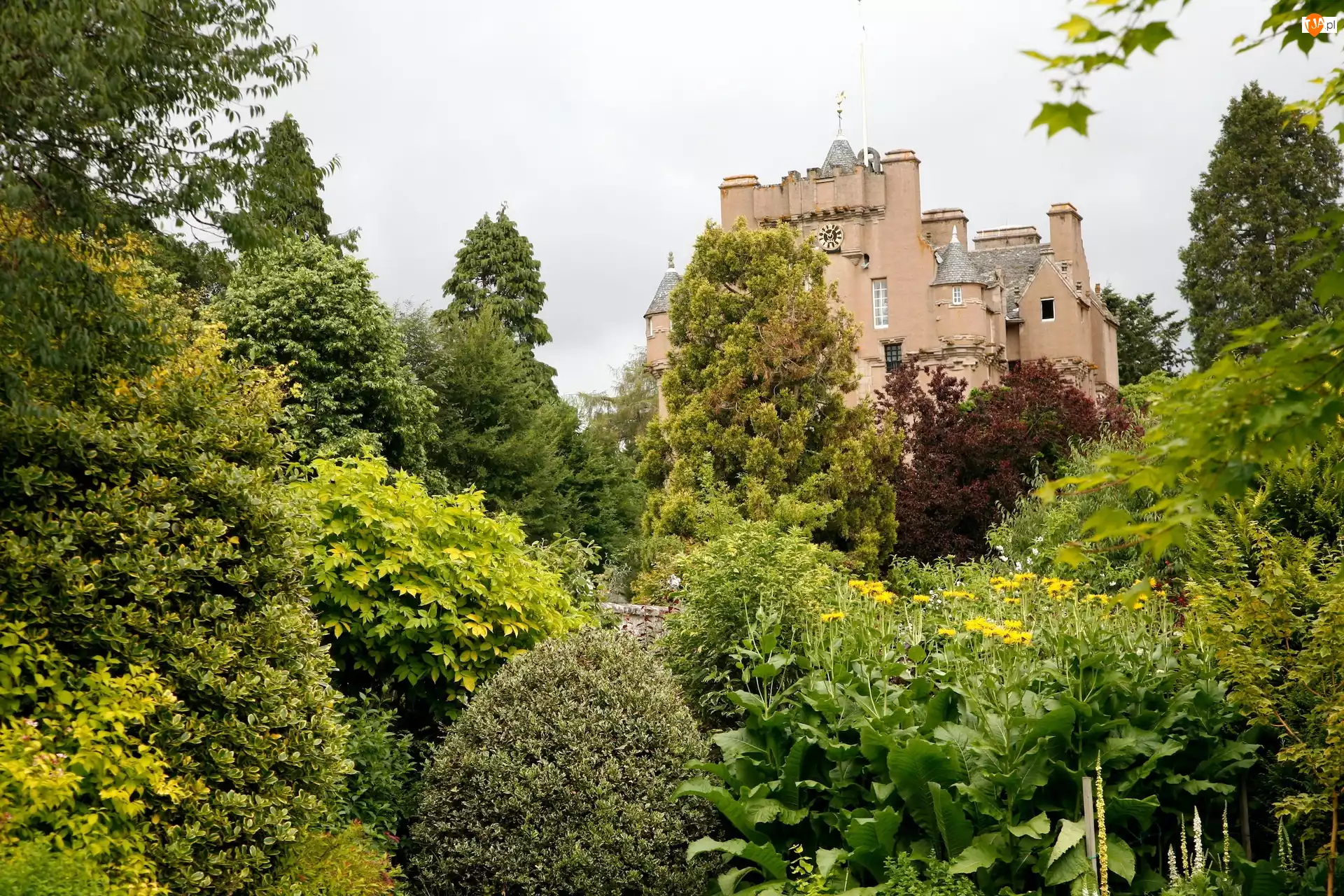Zamek, Ogród, Crathes, Szkocja