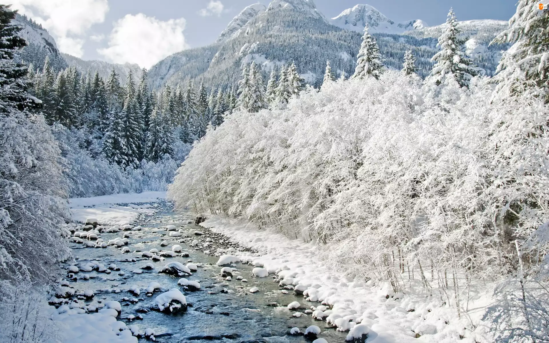 Zima, Góry, Drzewa, Rzeka