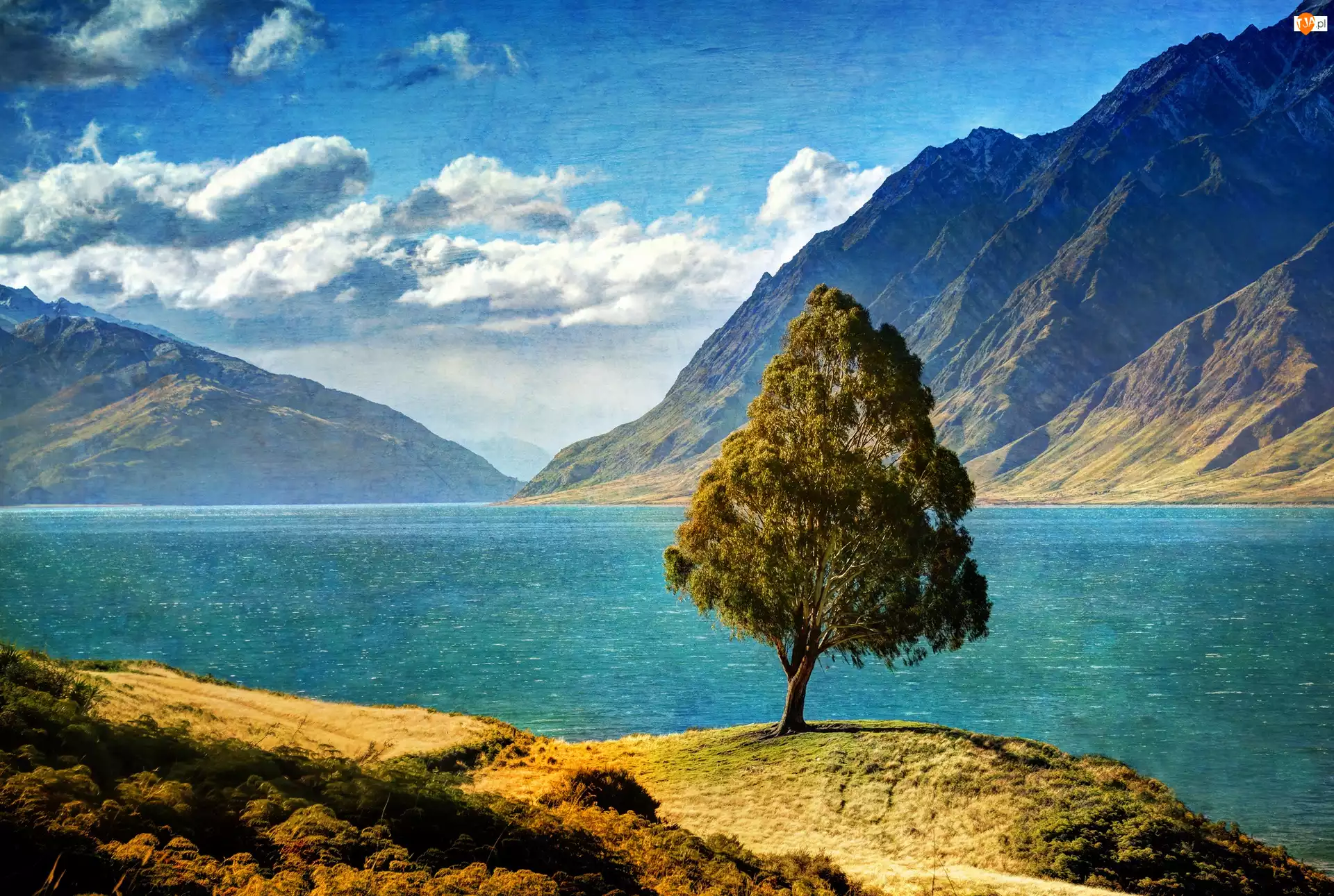 Góry, Nowa Zelandia, Drzewo, Jezioro, Hawea