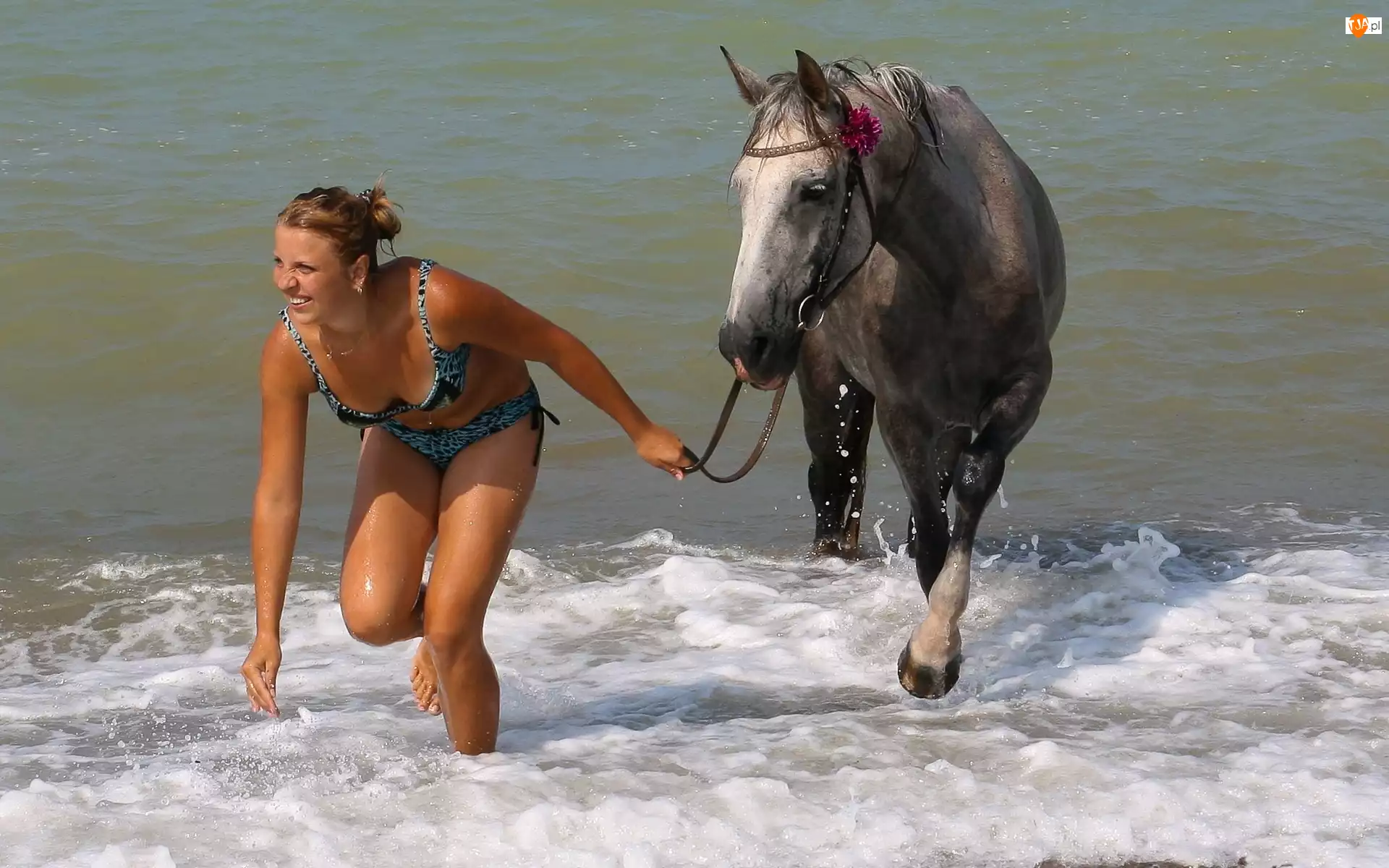 Koń, Morze, Kobieta