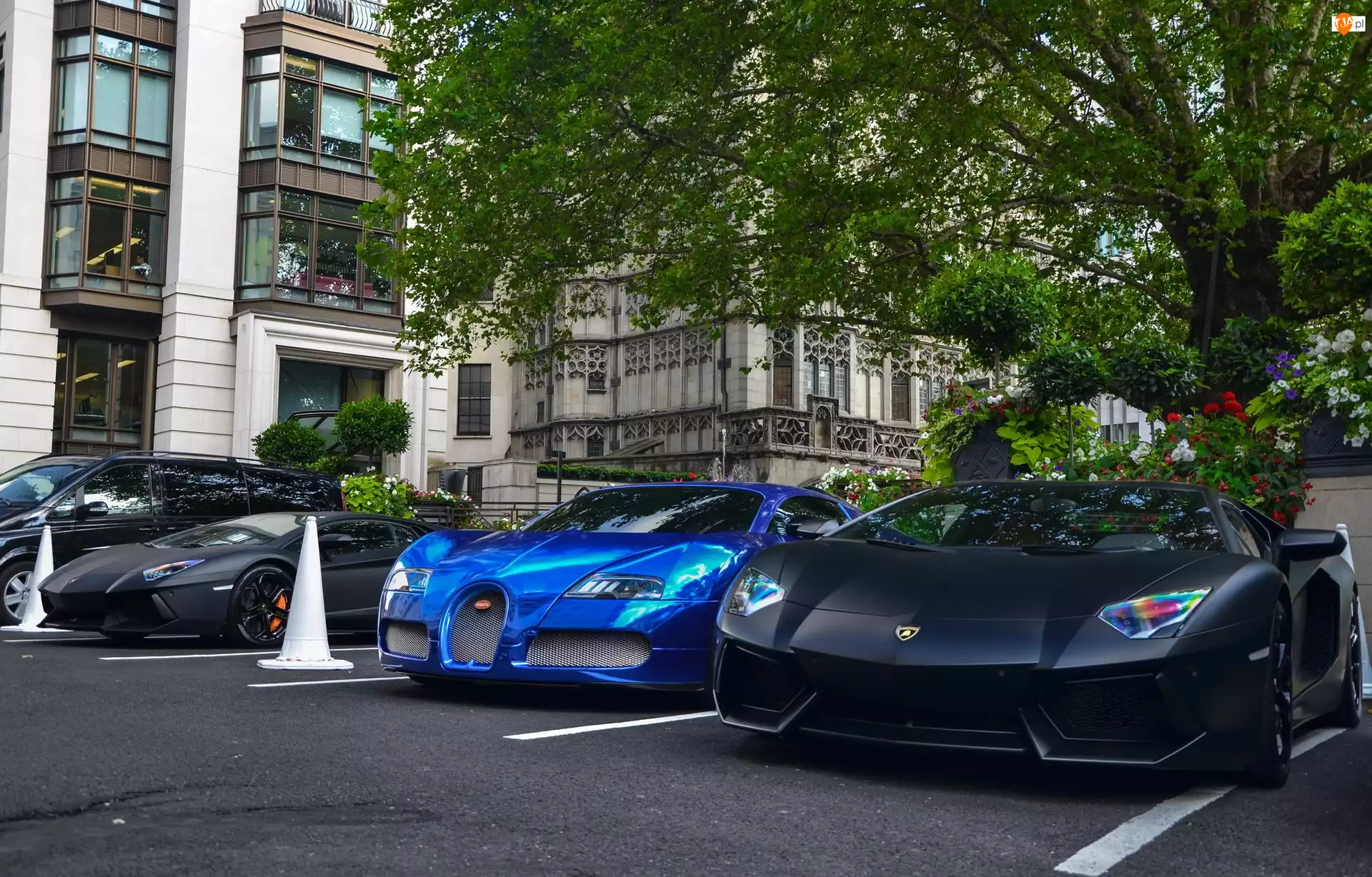 Lamborghini Aventador, Niebieski, Bugatti Veyron, Czarne