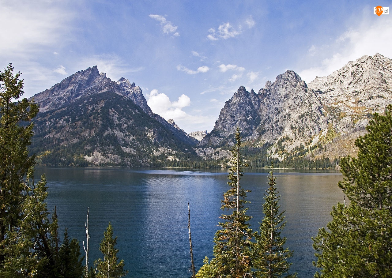 Wyoming, Jezioro, Drzewa, Góry, Jeeny Lake