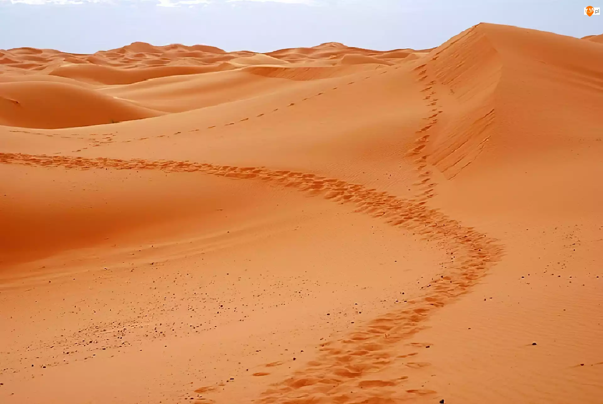 Sahara, Pustynia