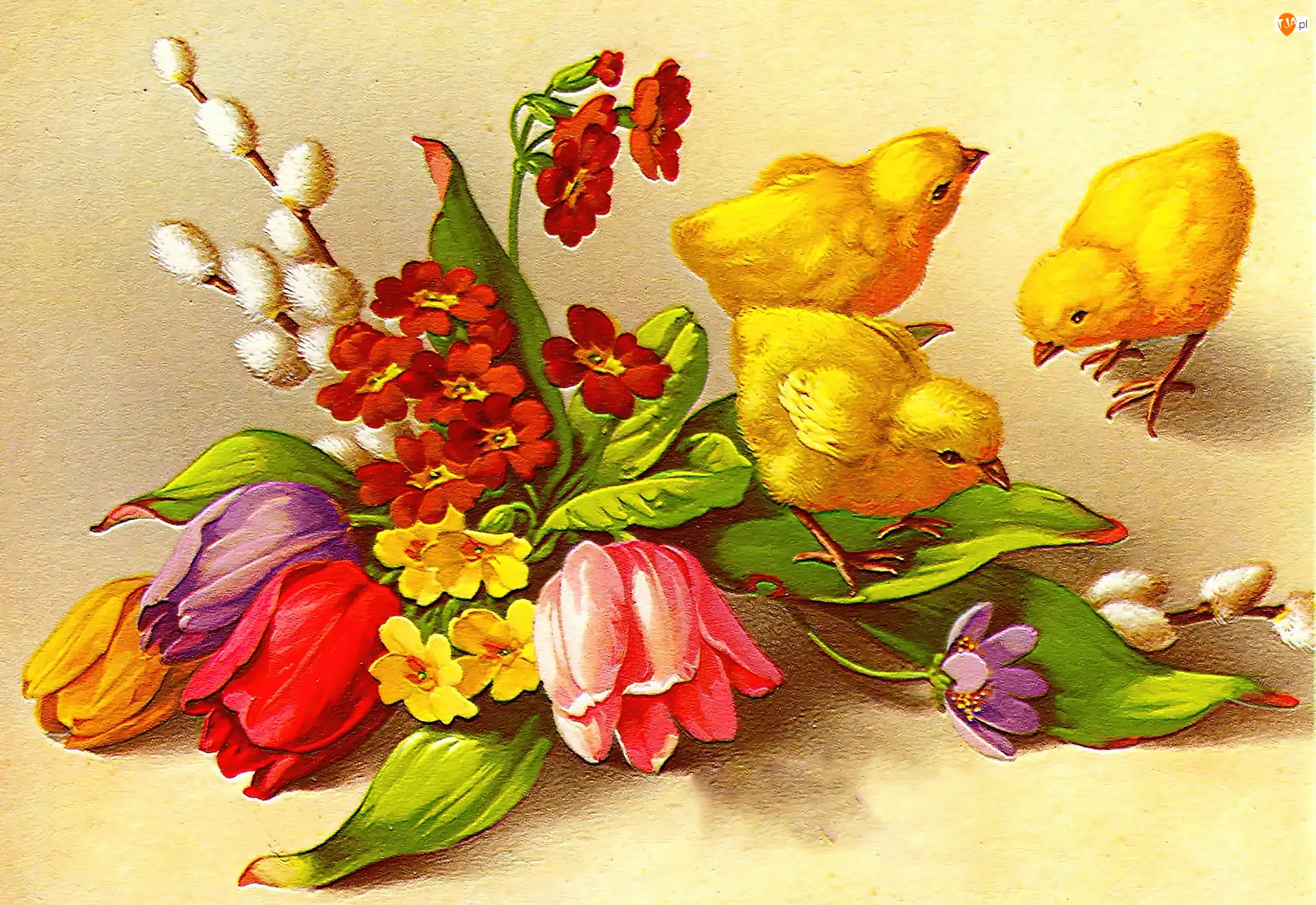 Kwiaty, Wielkanoc, Kurczaczki
