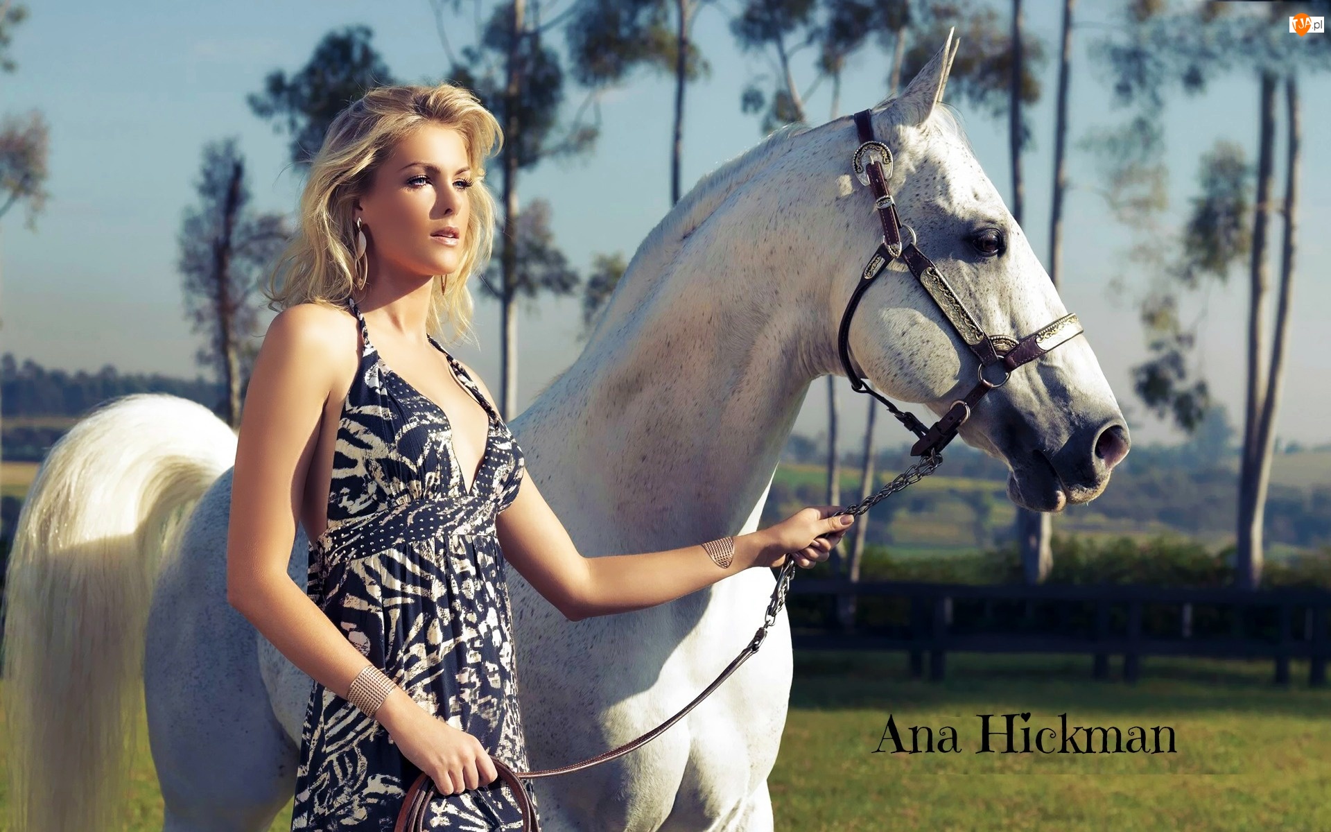 Koń, Ana Hickman, Blondynka