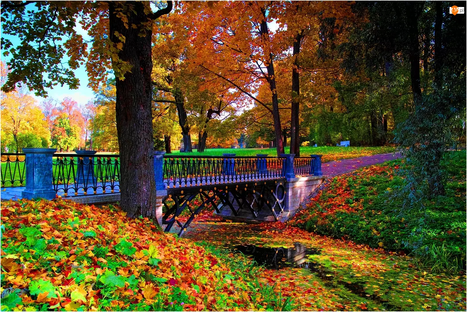 Jesień, Park, Most
