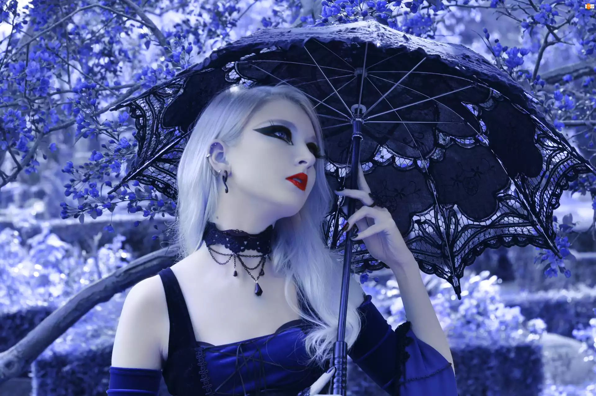 Gothic, Kobieta, Parasol