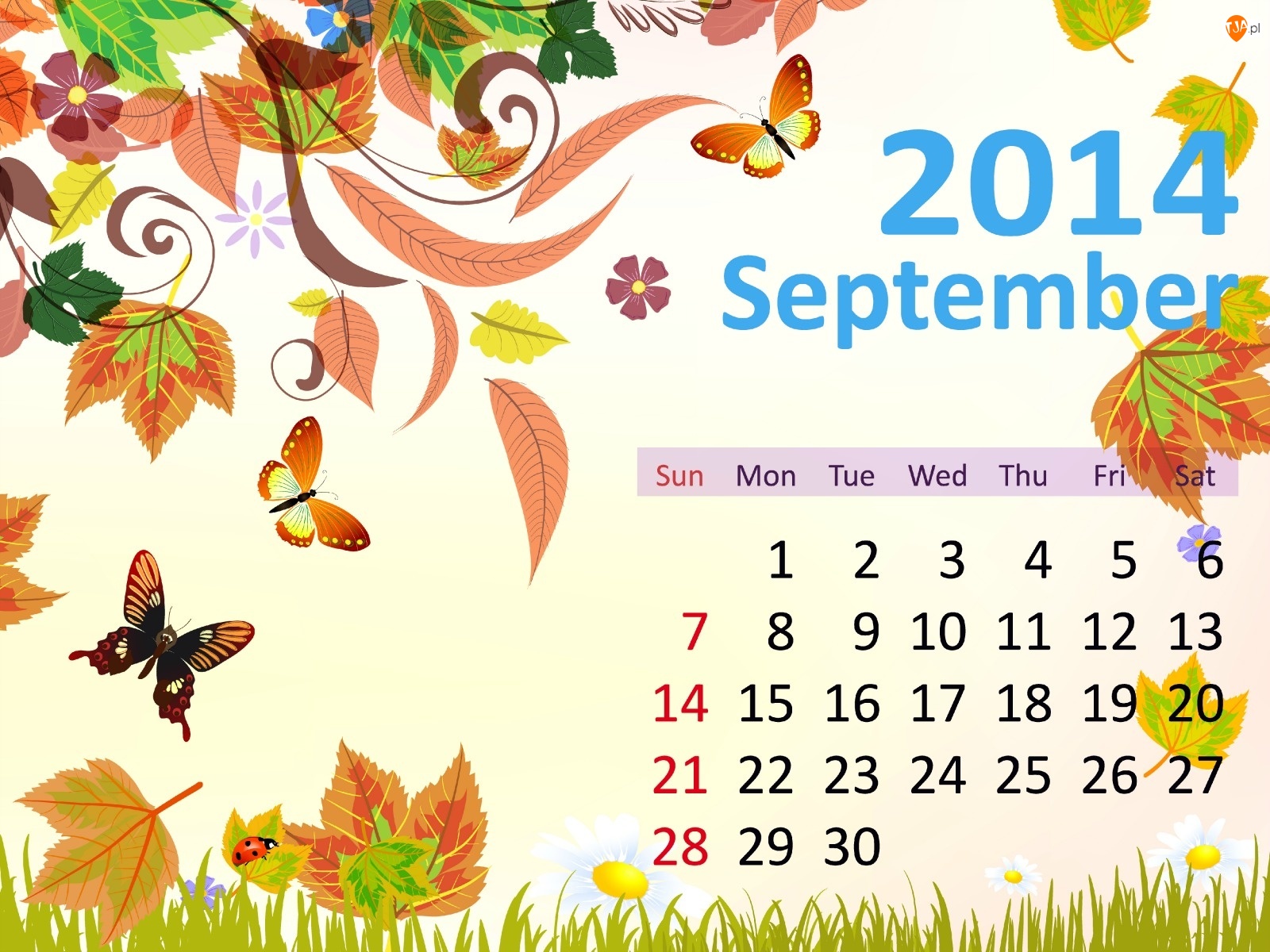 Grafika, Kalendarz, Wrzesień 2014
