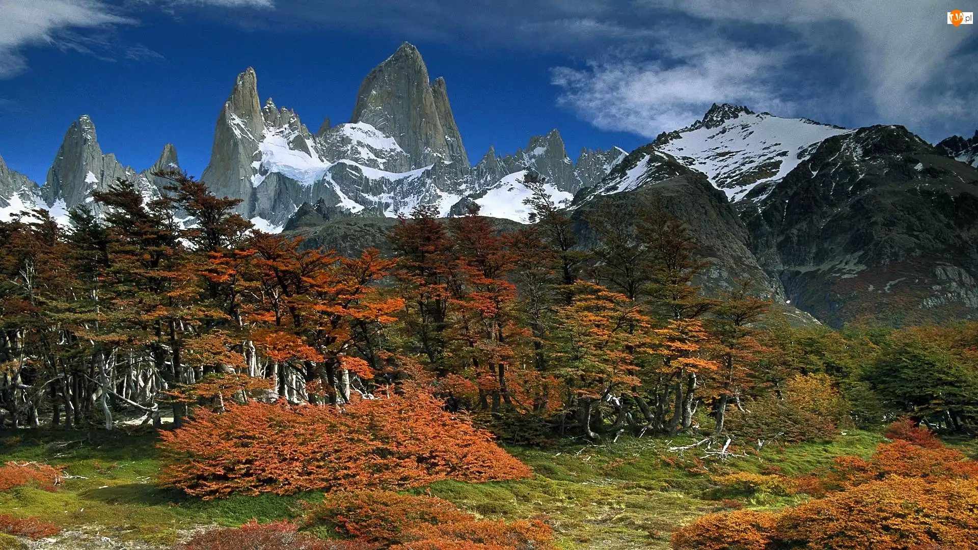 Patagonia, Glaciares, Park, Narodowy