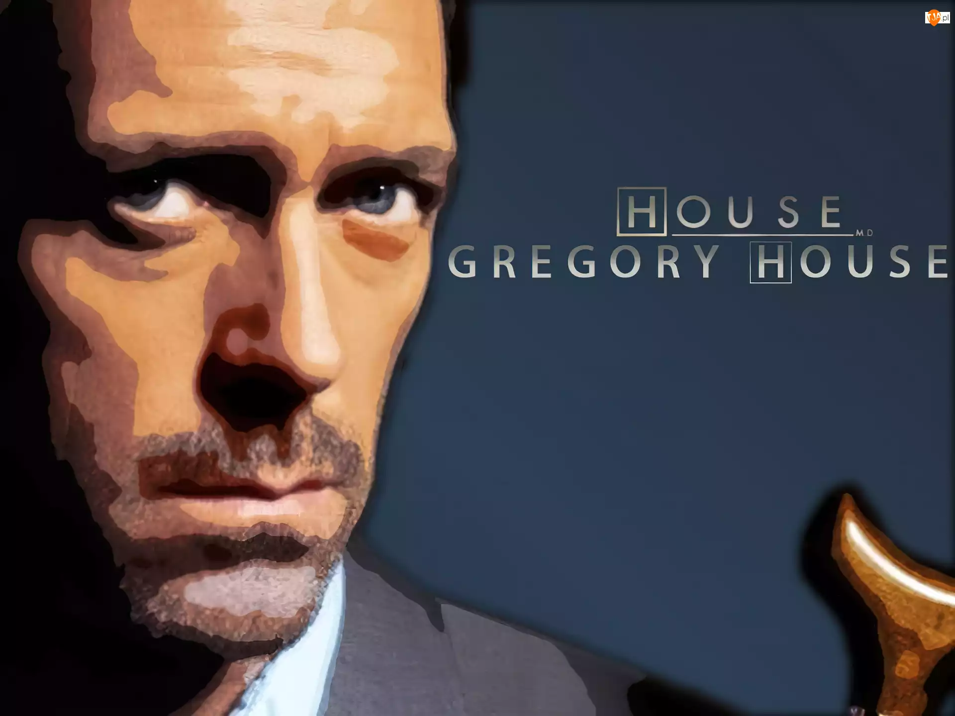 Gregory House, Dr. House