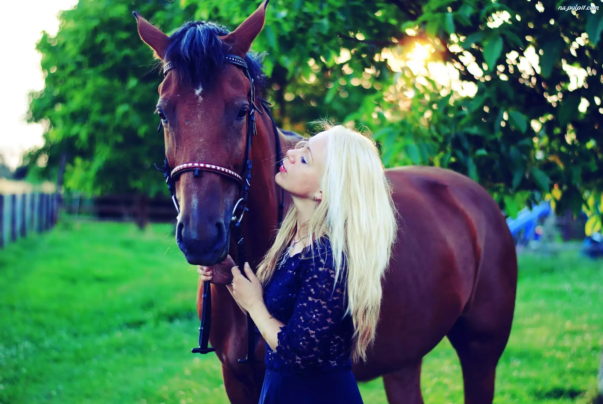 Koń, Kobieta, Blondynka