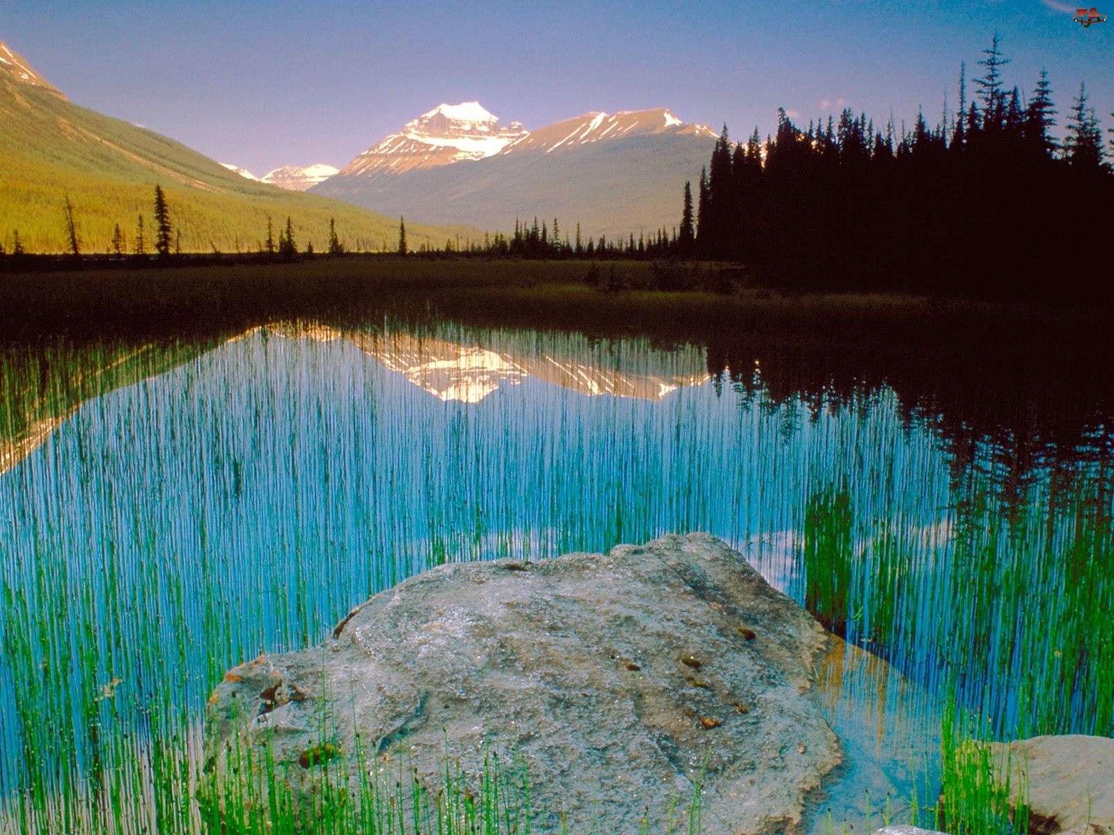 Kanada, Góra, Athabasca