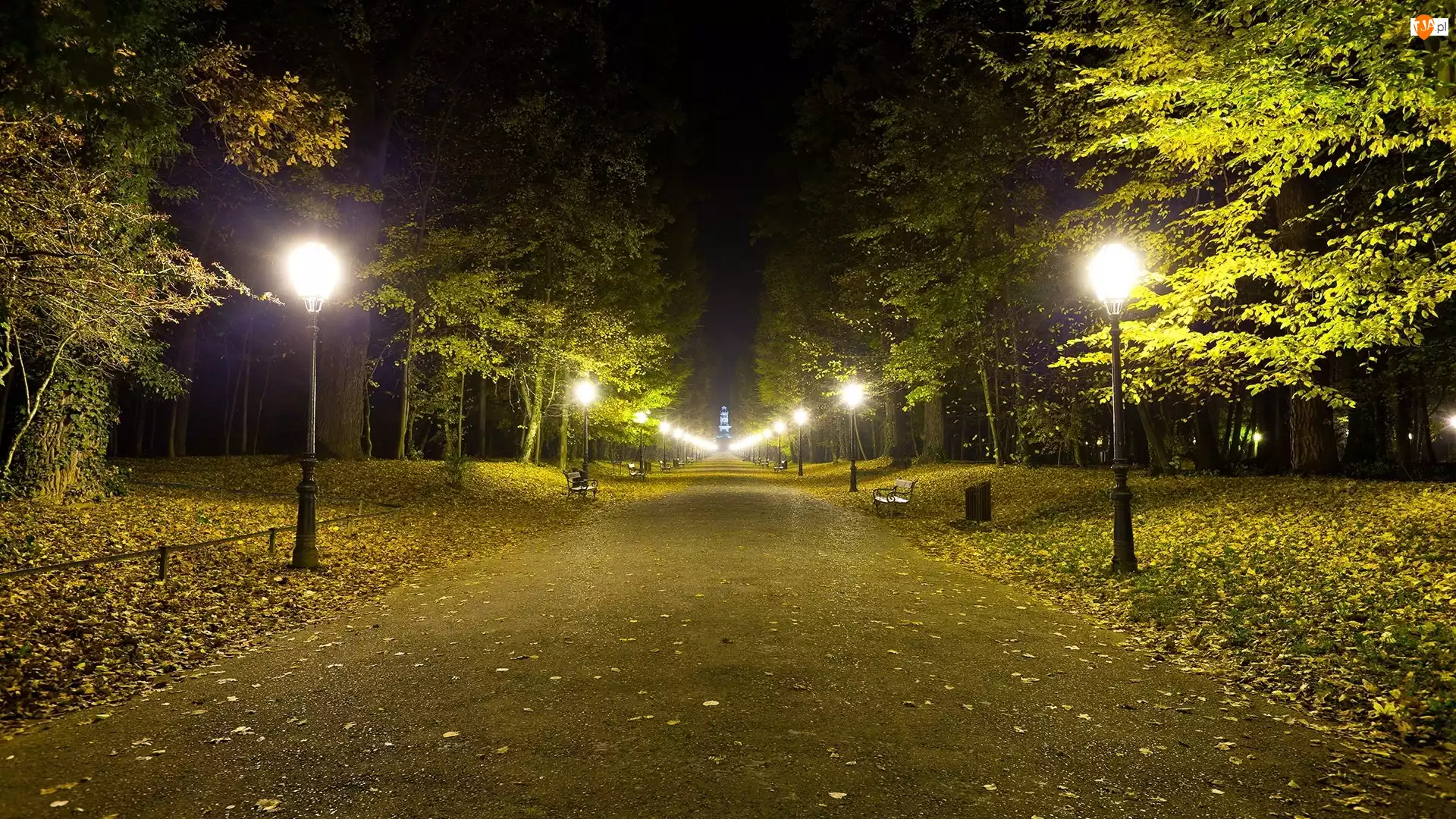 Park, Oświetlenie, Drzewa, Alejka