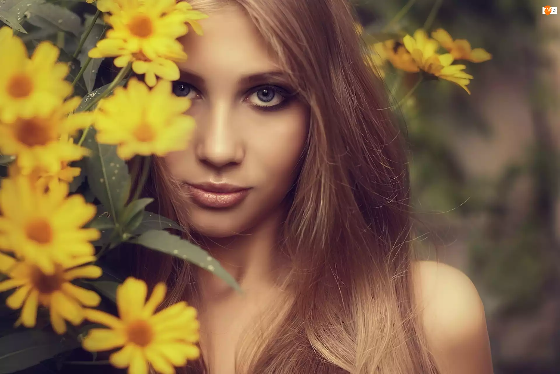 Oczy, Żółte, Kwiaty, Twarz