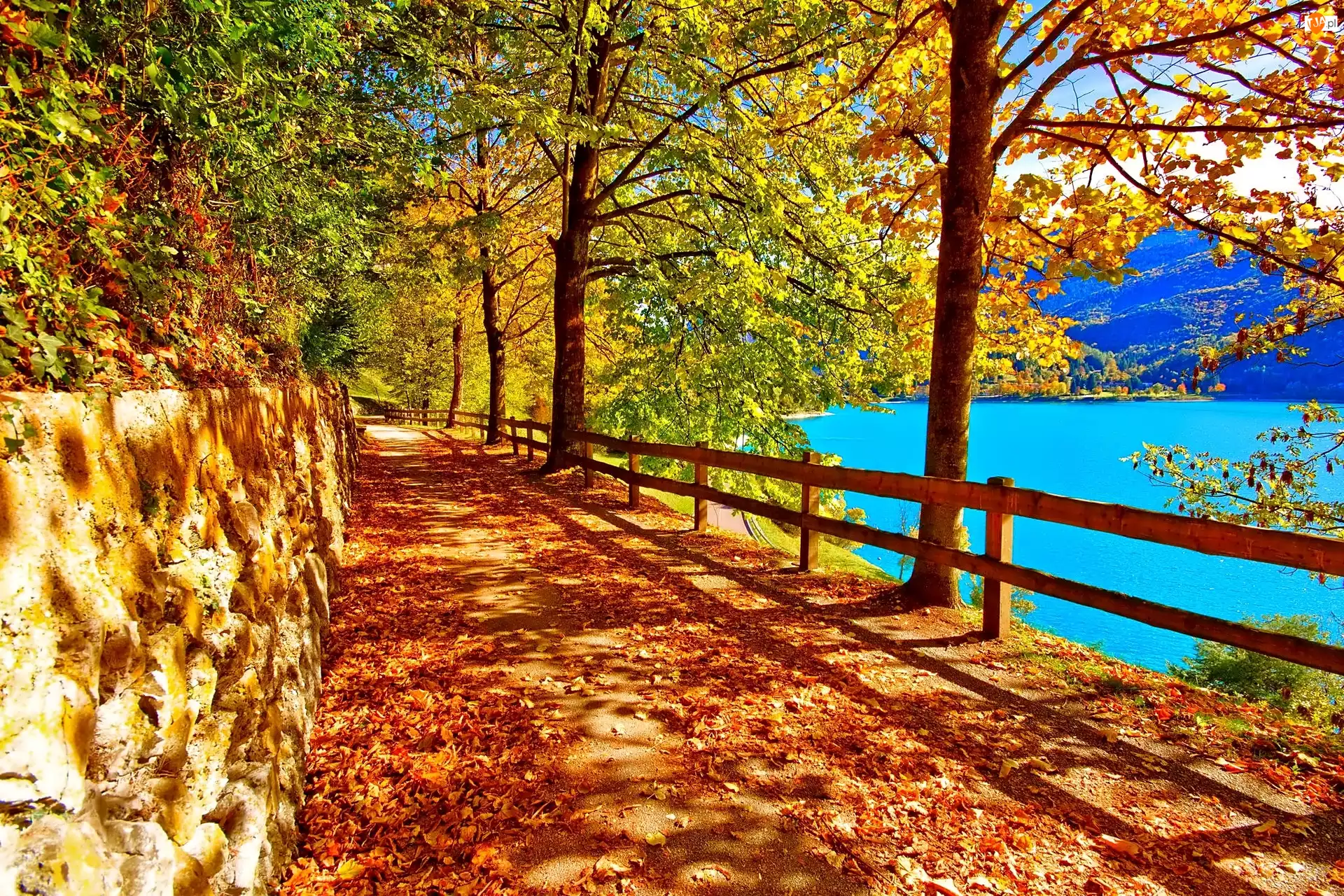 Droga, Jesień, Drzewa, Jezioro