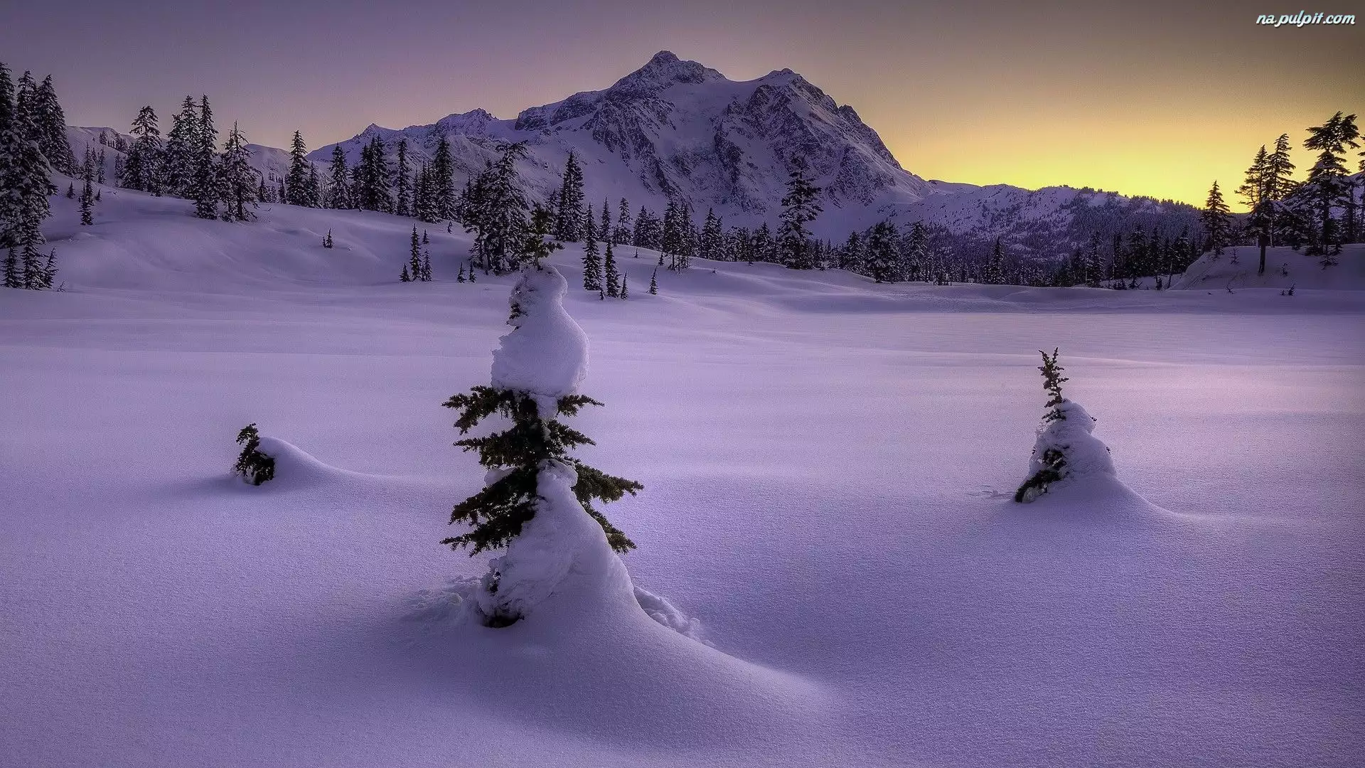 Drzewa, Śnieg, Góra