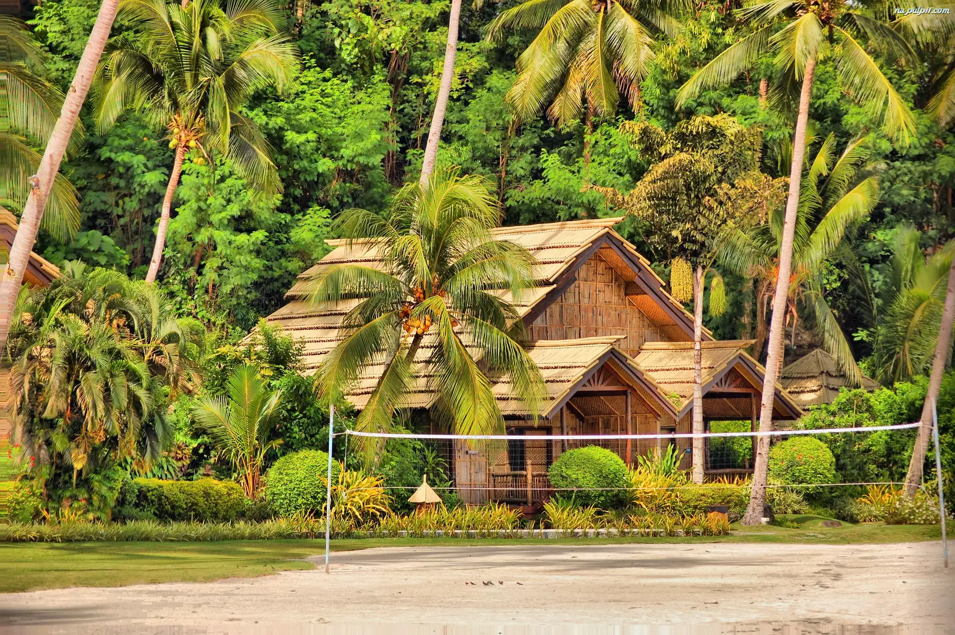 Kurort, Davao, Palmy, Filipiny, Domek, Wyspa Samal