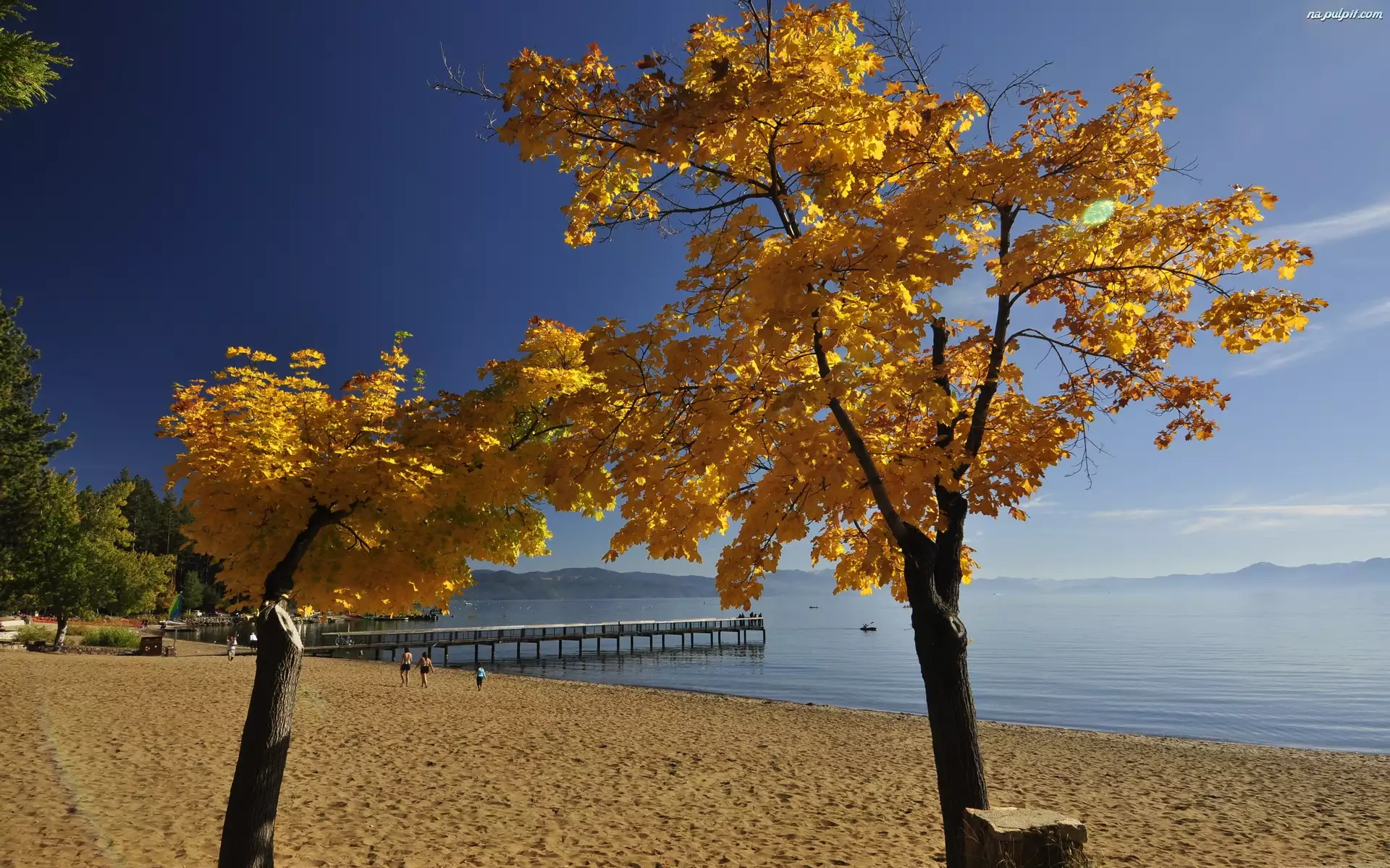 Drzewa, Jesień, Molo, Plaża, Morze