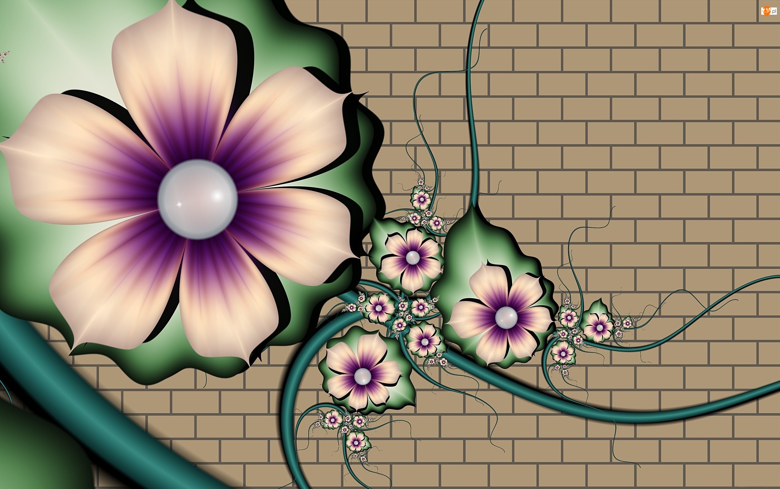3D, Mur, Kwiaty, Grafika