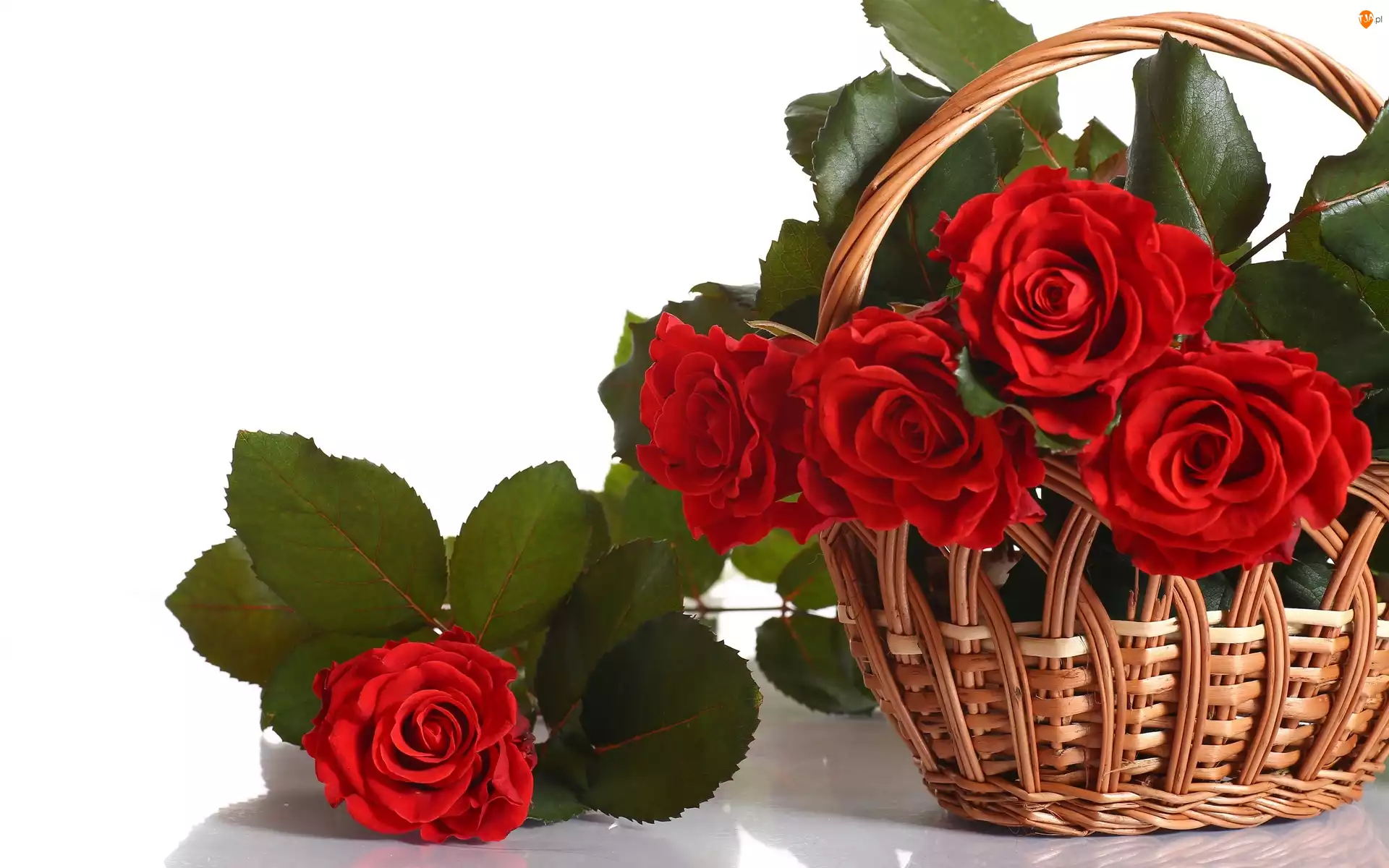 Koszyk, Kwiaty, Róże