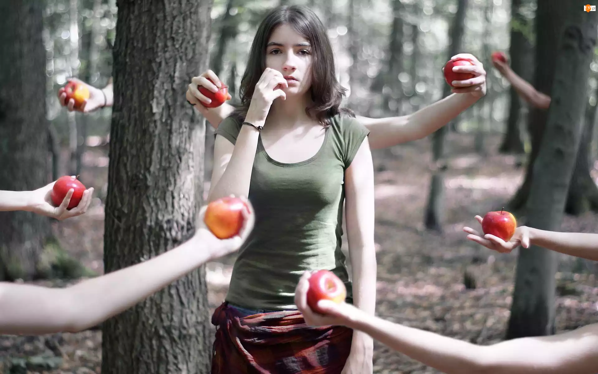 Kobieta, Jabłka, Drzewa, Ręce