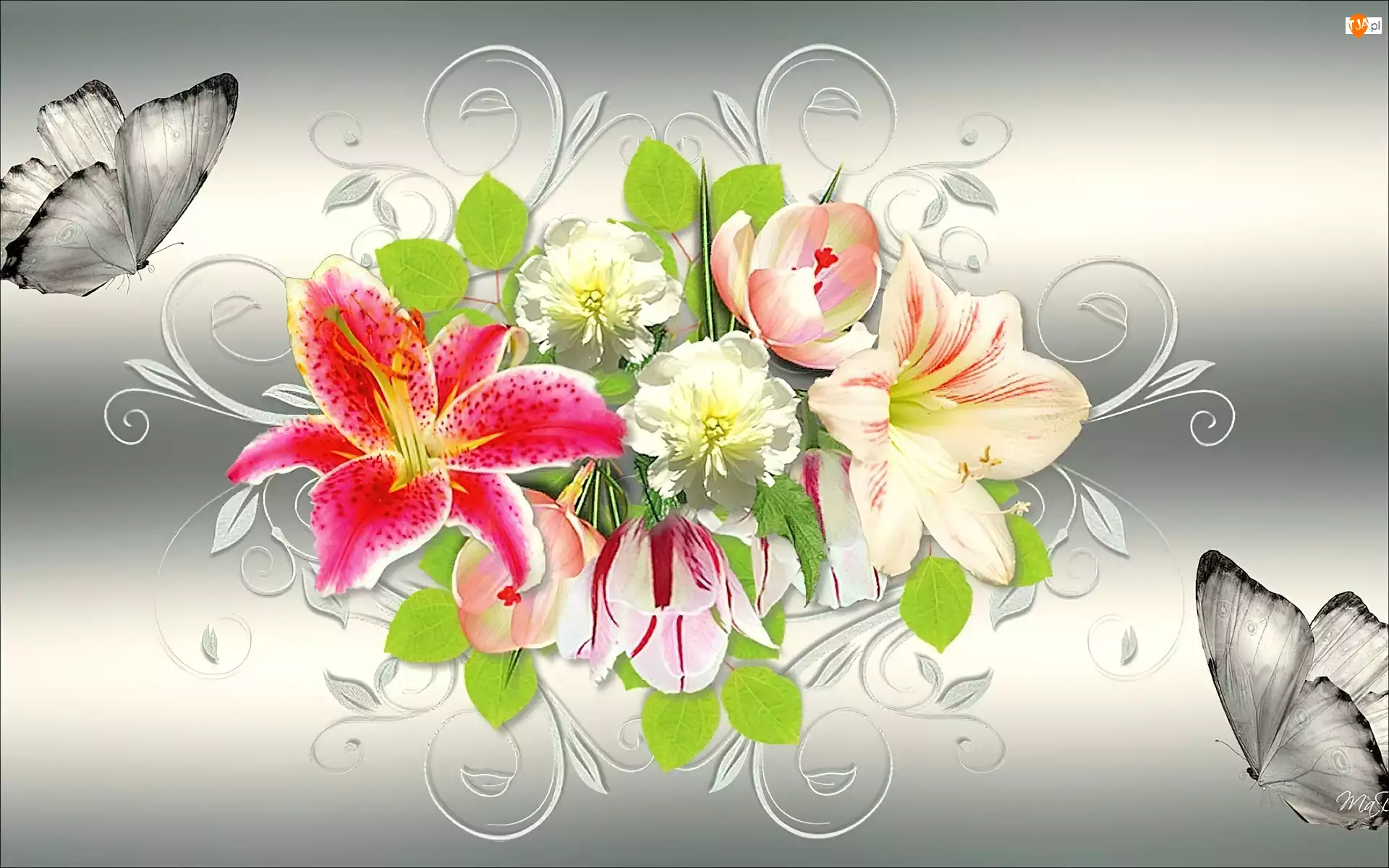 Kwiaty, Abstrakcja, Lilie, Motyle