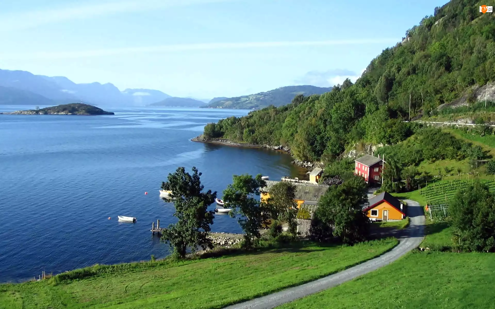 Droga, Wzgórza, Domy, Hardangerfjord, Zalesione