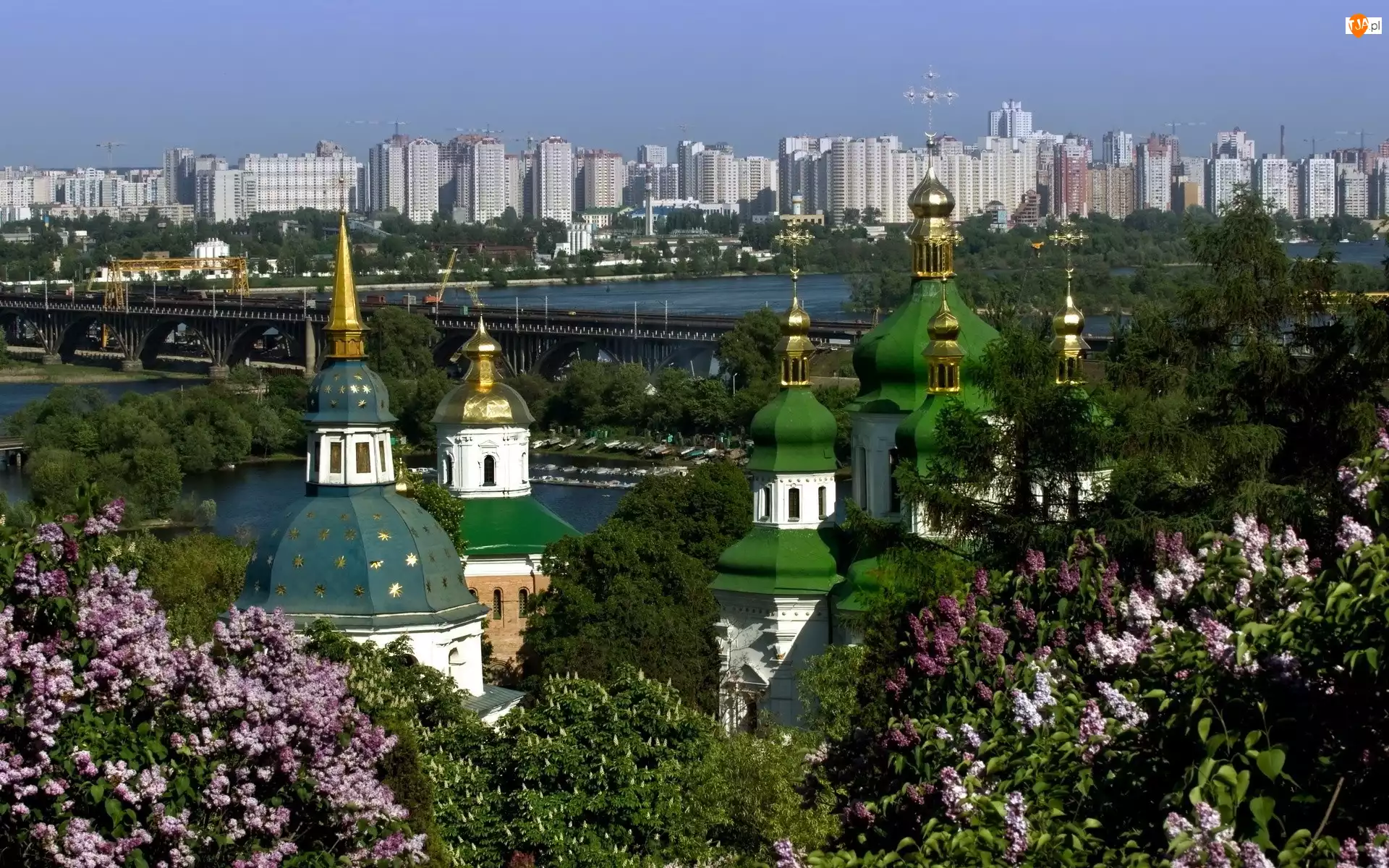 Panorama, Bzy, Kijowa, Kwitnące