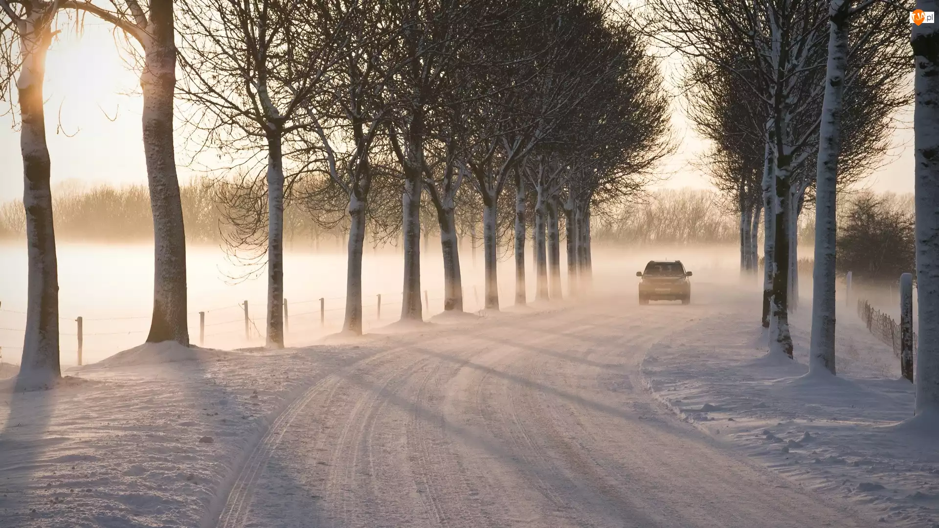 Droga, Samochód, Śnieg, Zima, Drzewa