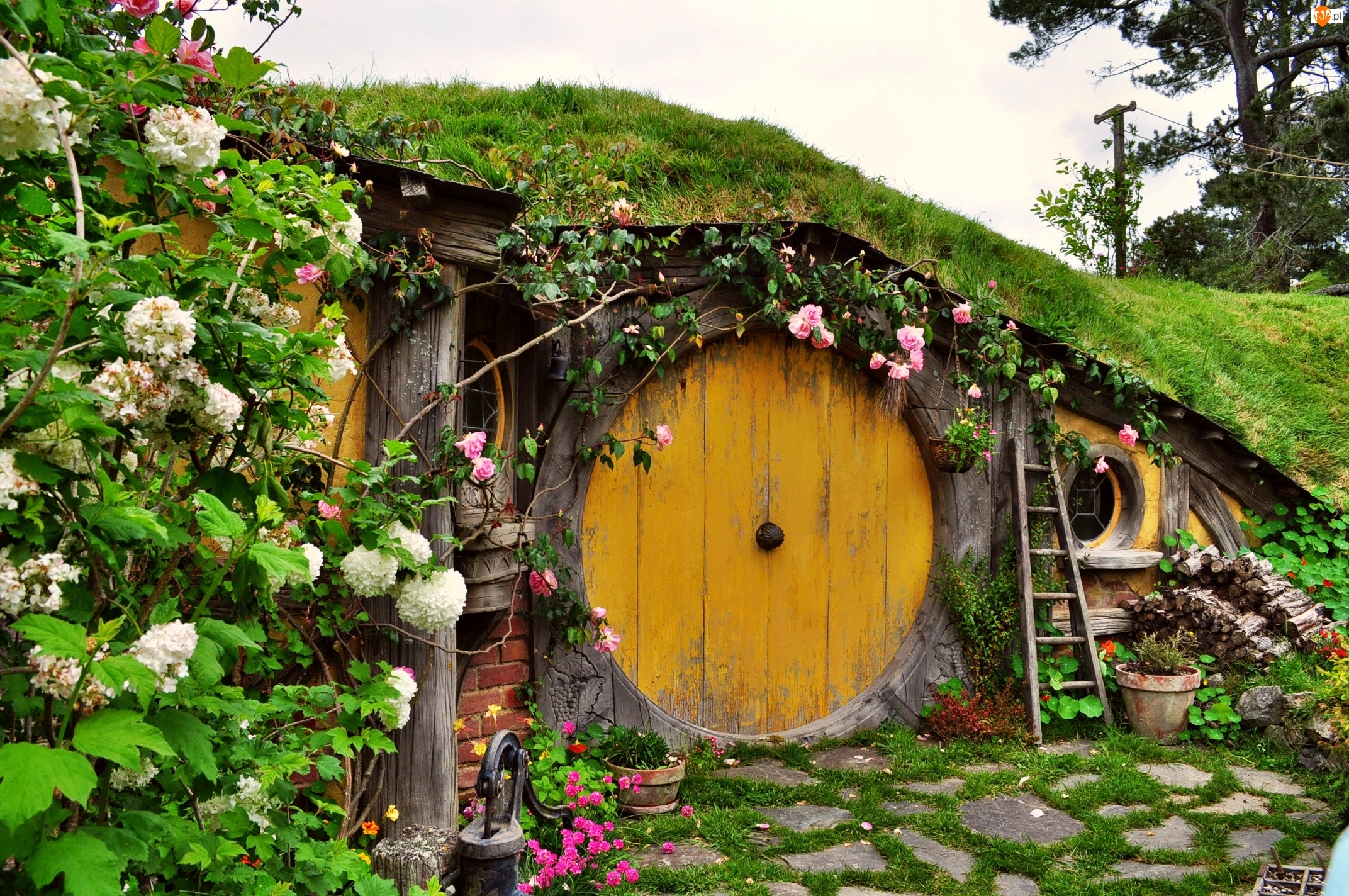 Nowa Zelandia, Domek Hobbit