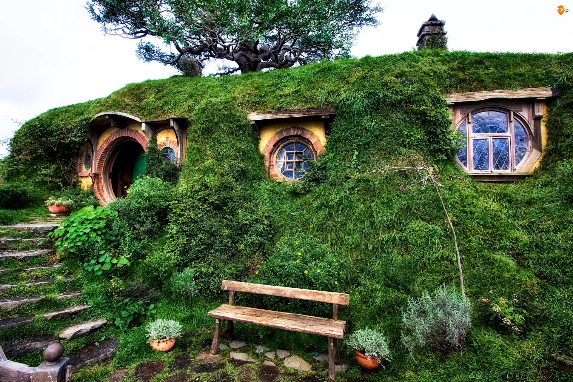 Ogród, Dom, Hobbit