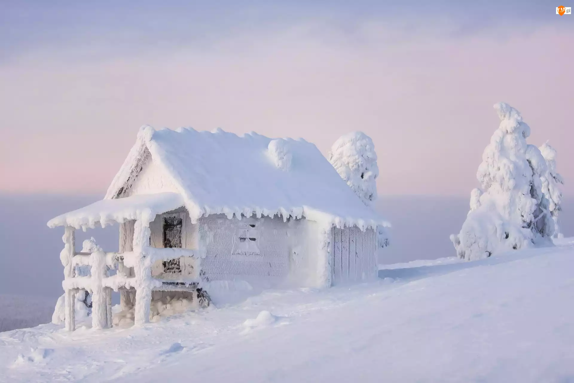 Ośnieżony, Śnieg, Domek, Drzewa