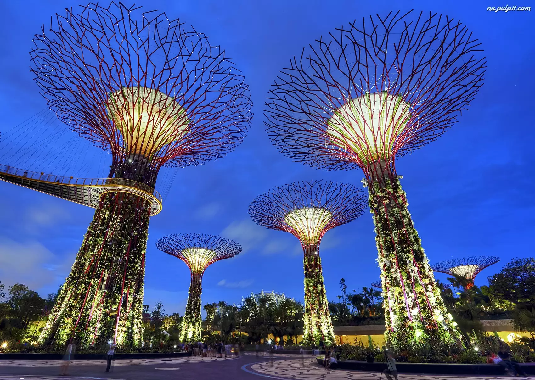 Botaniczny, Singapur, Ogród