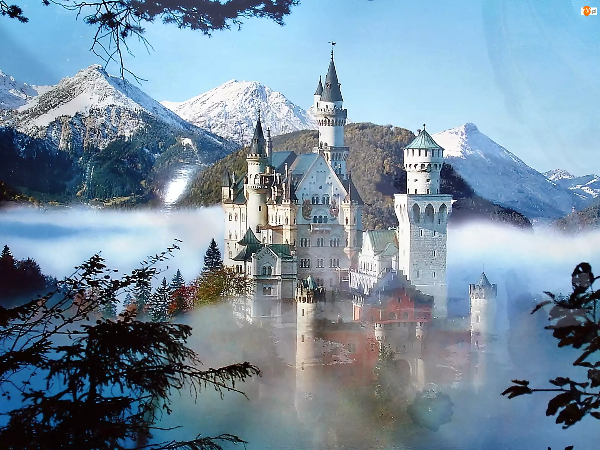Drzewa, Neuschwanstein, Mgła, Góry, Zamek
