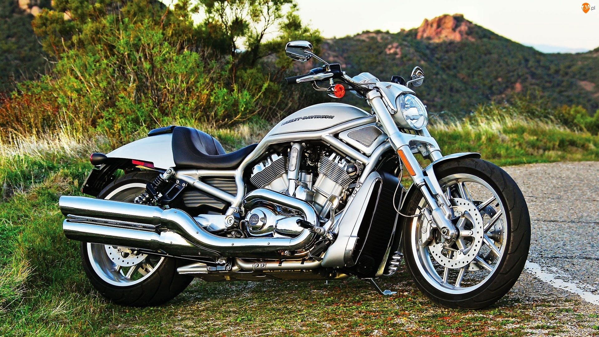 V-Rod, Harley-Davidson