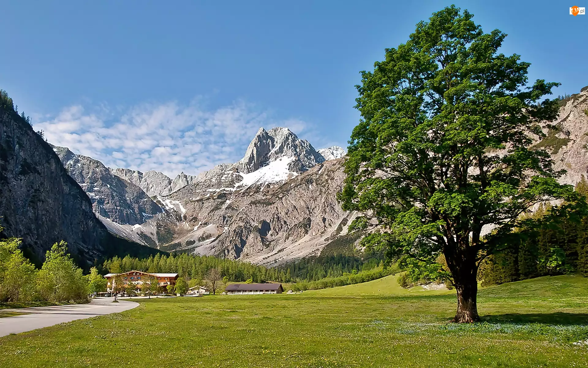 Alpengasthof, Łąka, Góry, Tyrol, Gramai, Lasy, Hotel
