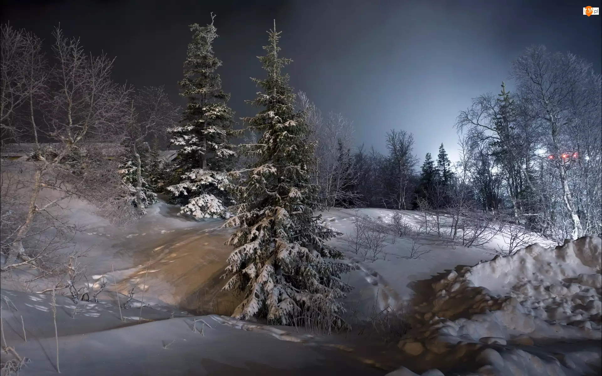 Zima, Drzewa, Śnieg, Noc
