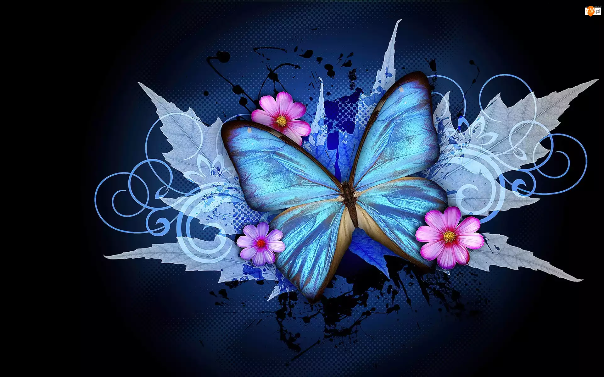 Kwiaty, Grafika 2D, Niebieski, Motyl