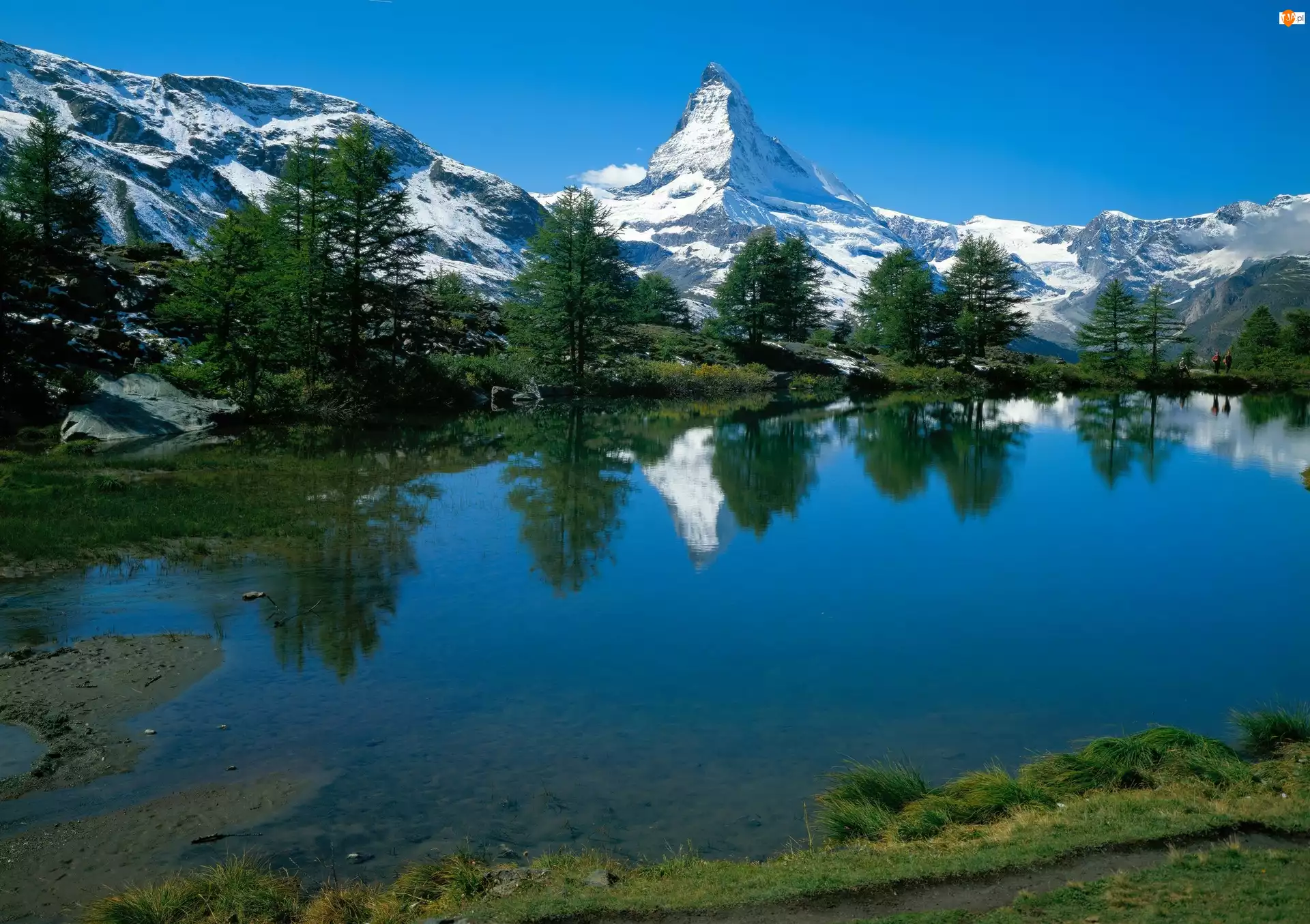 Szczyt Matterhorn, Drzewa, Alpy, Góry, Jezioro
