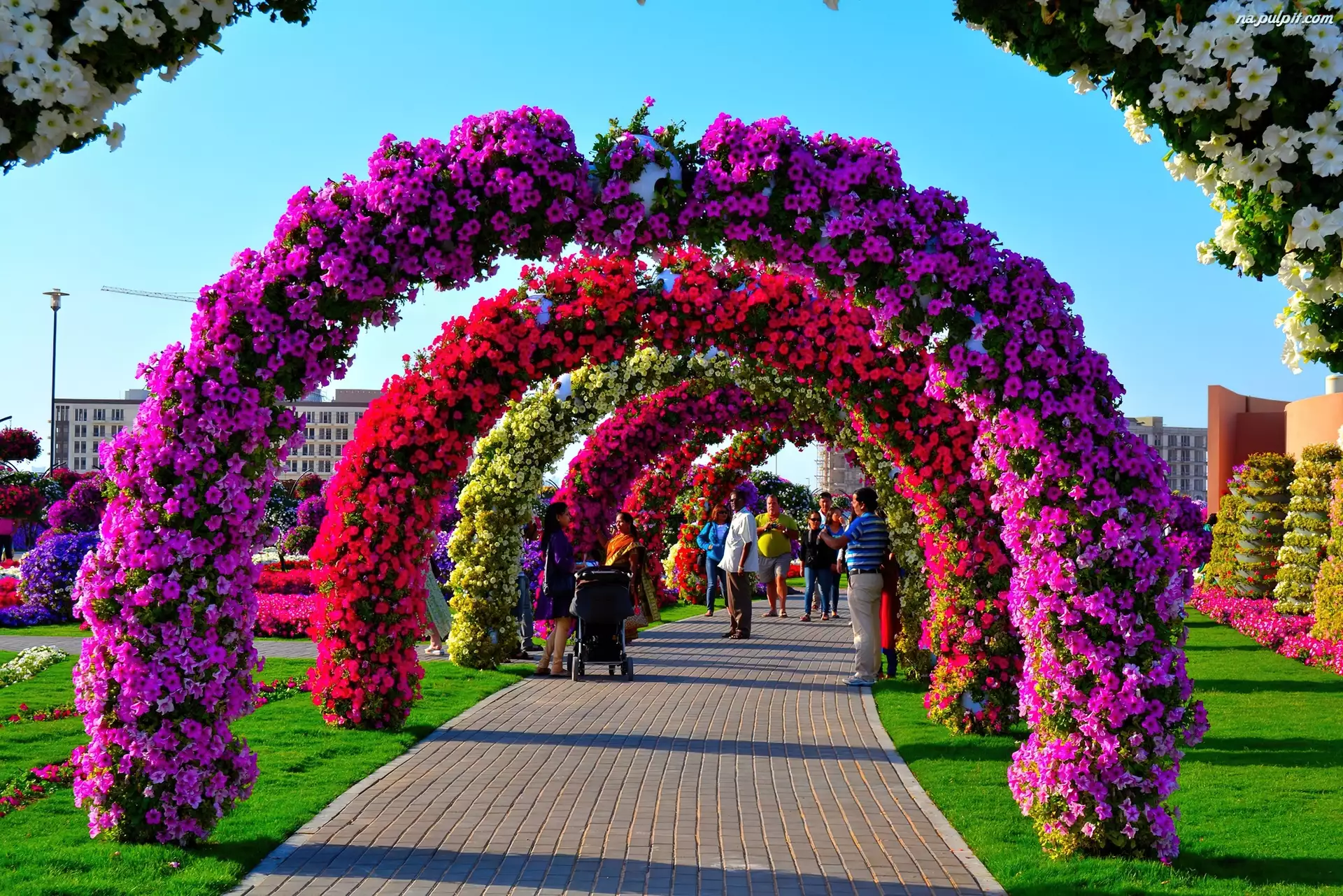 Dubaj, Kwiatowy, Ogród