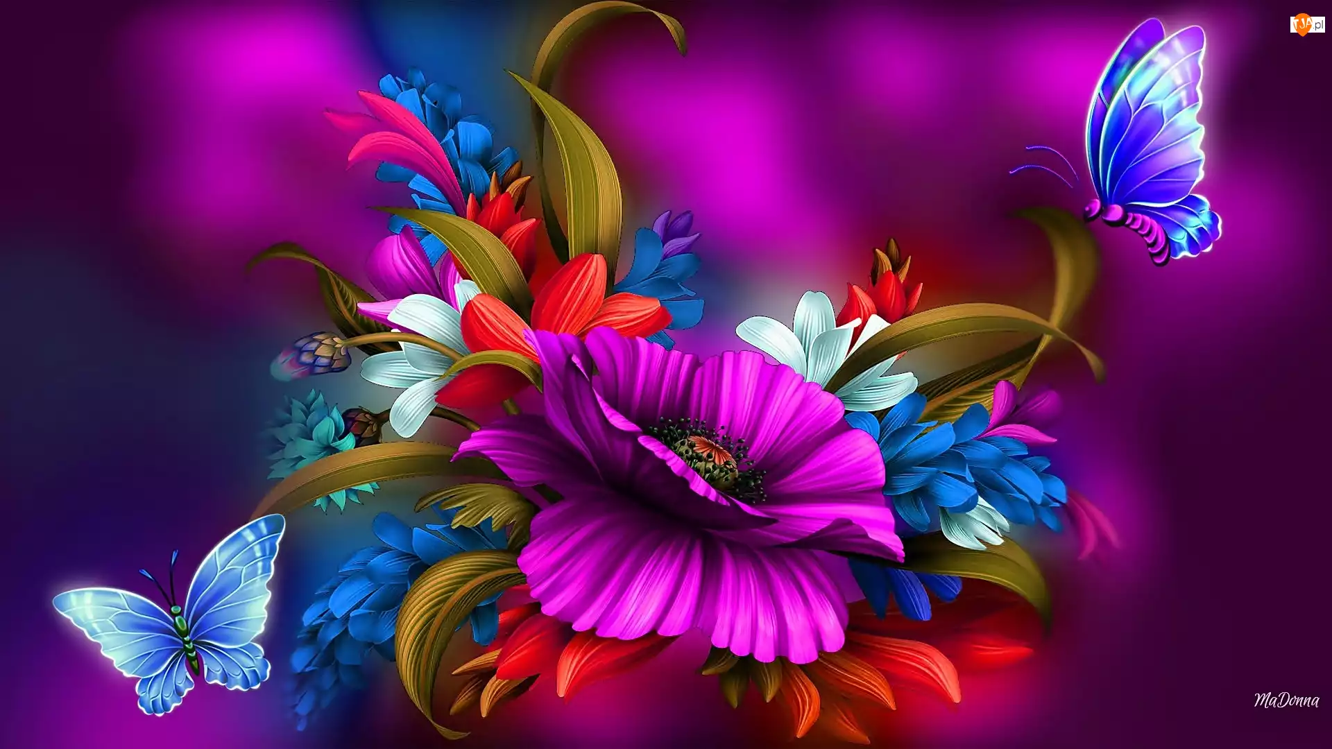 Art, Kolorowe, Kwiaty, Motyle