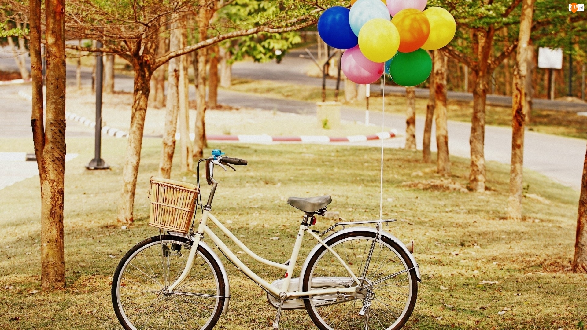 Balony, Rower, Park