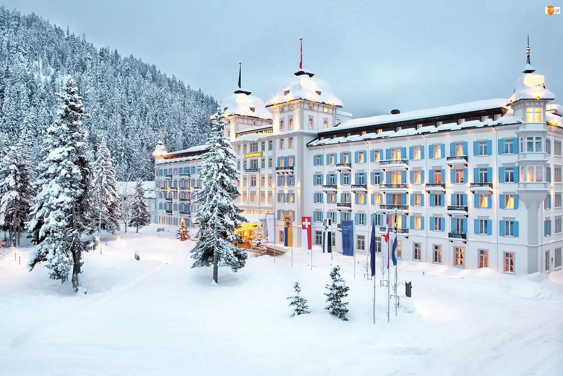 Hotel, Grand des Bains, Góry, St.Moritz, Las, Kempinski