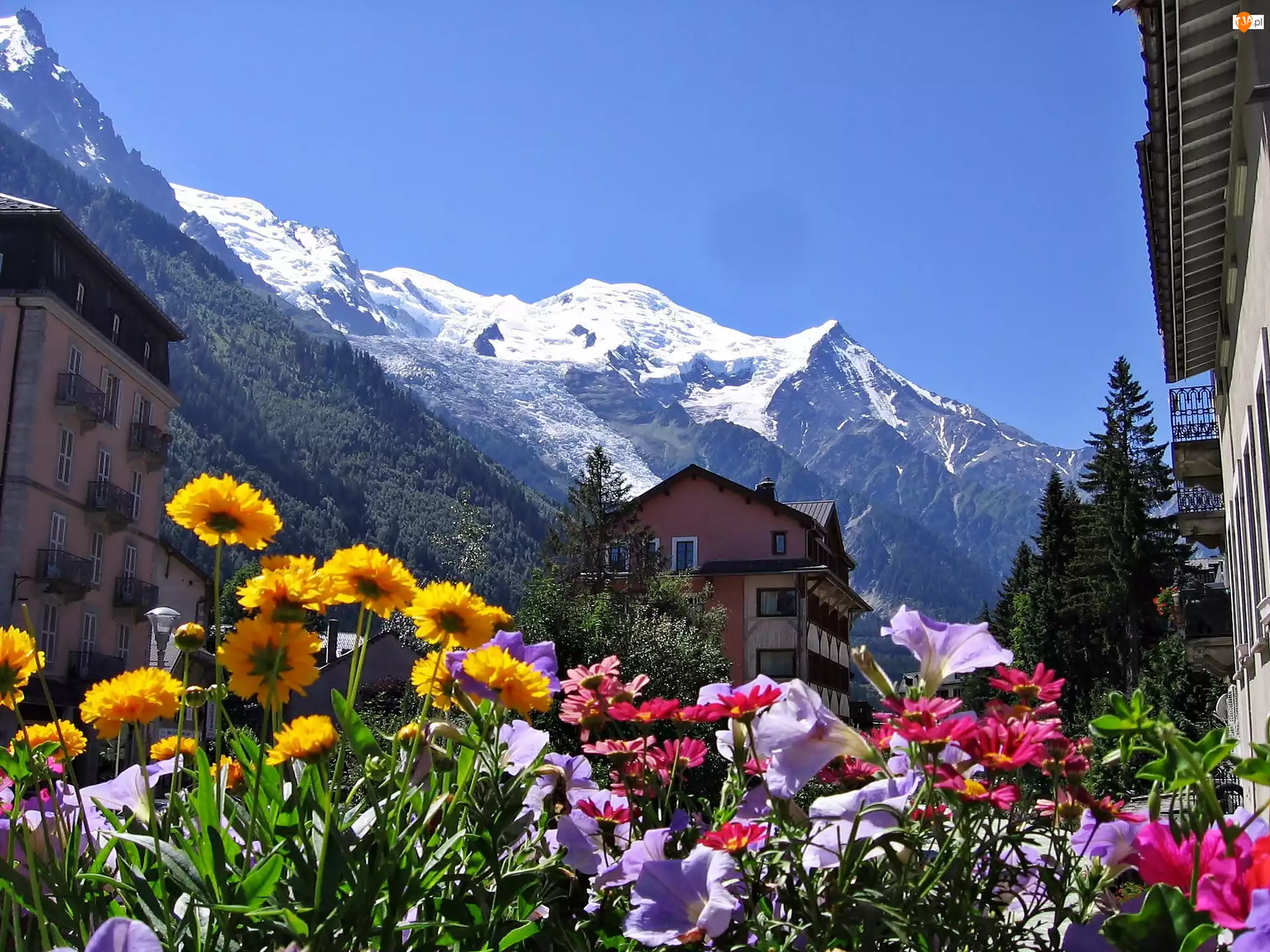 Góry, Chamonix, Domy, Kwiaty