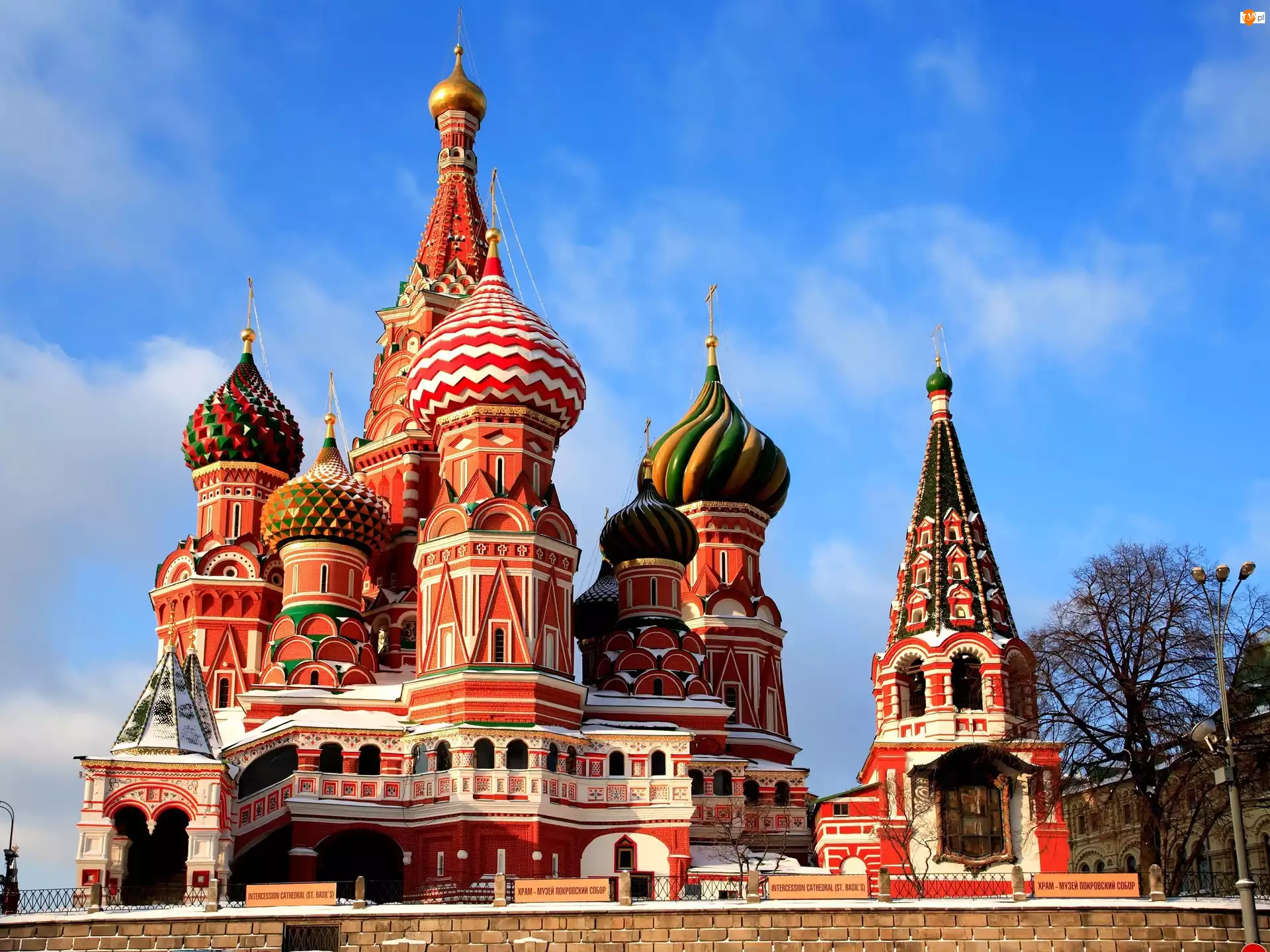 Katedra, Rosja, Saint Basils, Moskwa