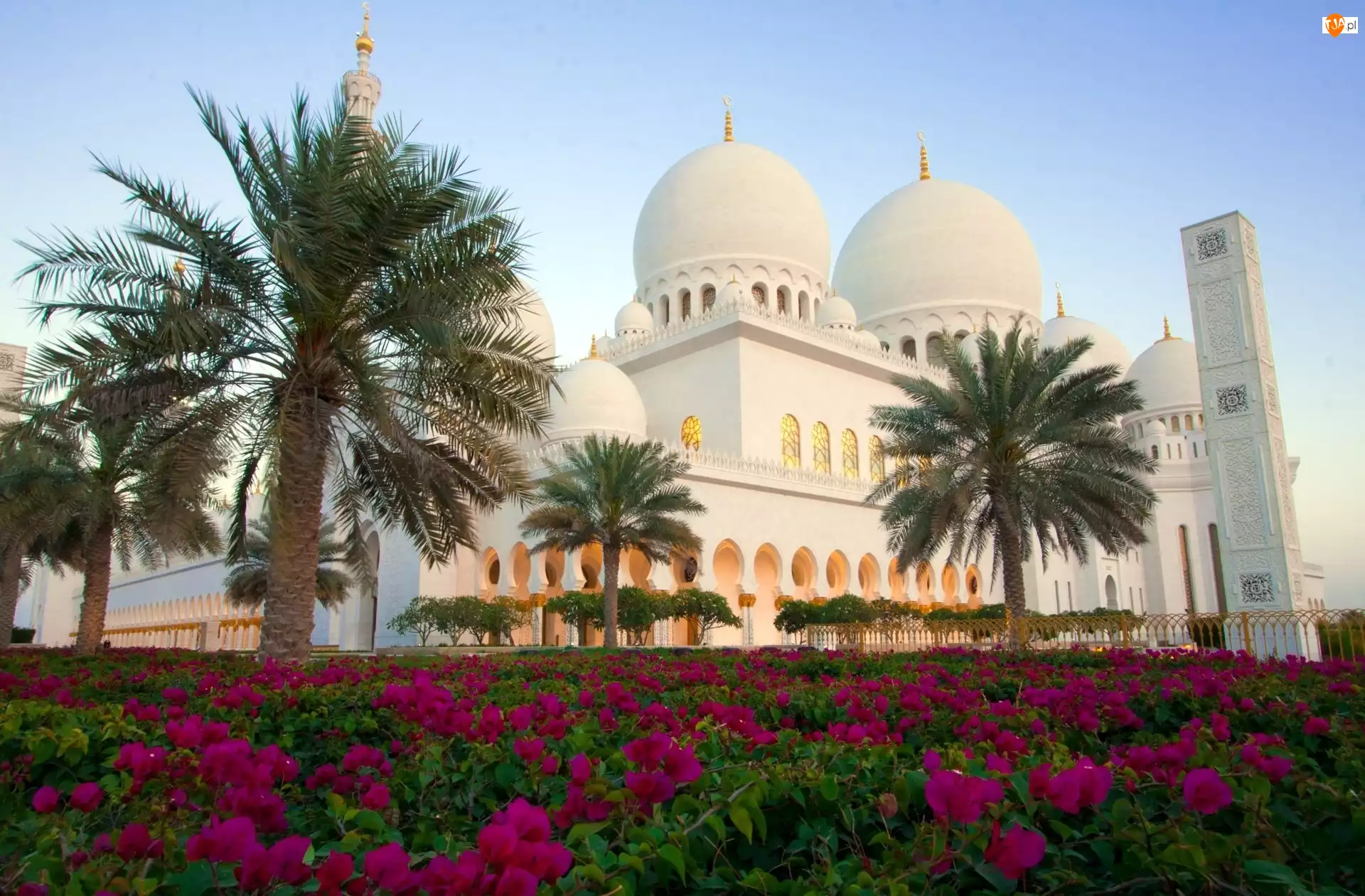 Sheikh Zayed, Kwiaty, Meczet, Zjednoczone Emiraty Arabskie, Palmy