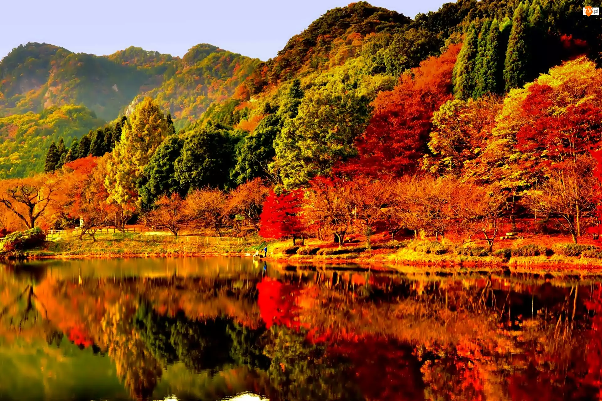 Drzewa, Jesień, Jezioro, Kolorowe