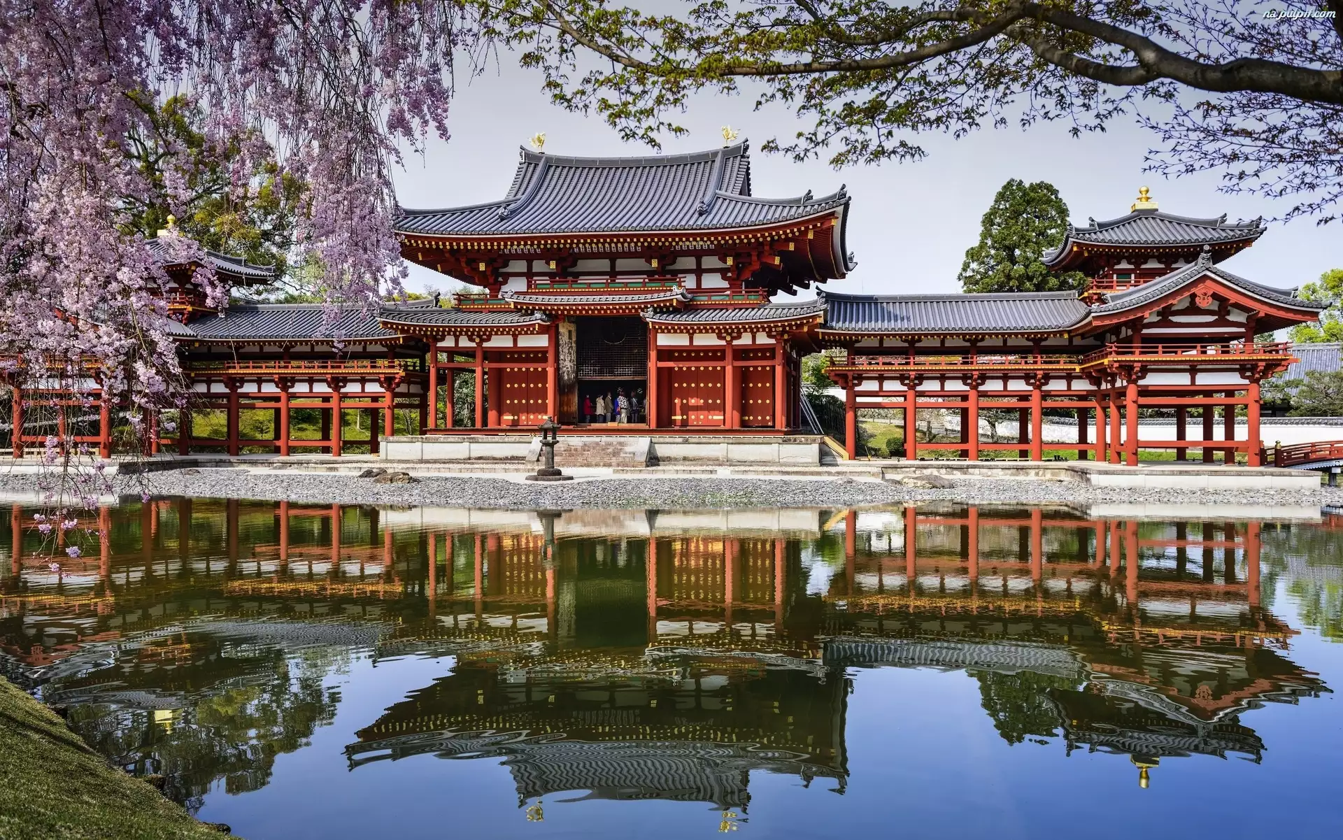 Japonia, Wiosna, Buddyjska, Świątynia